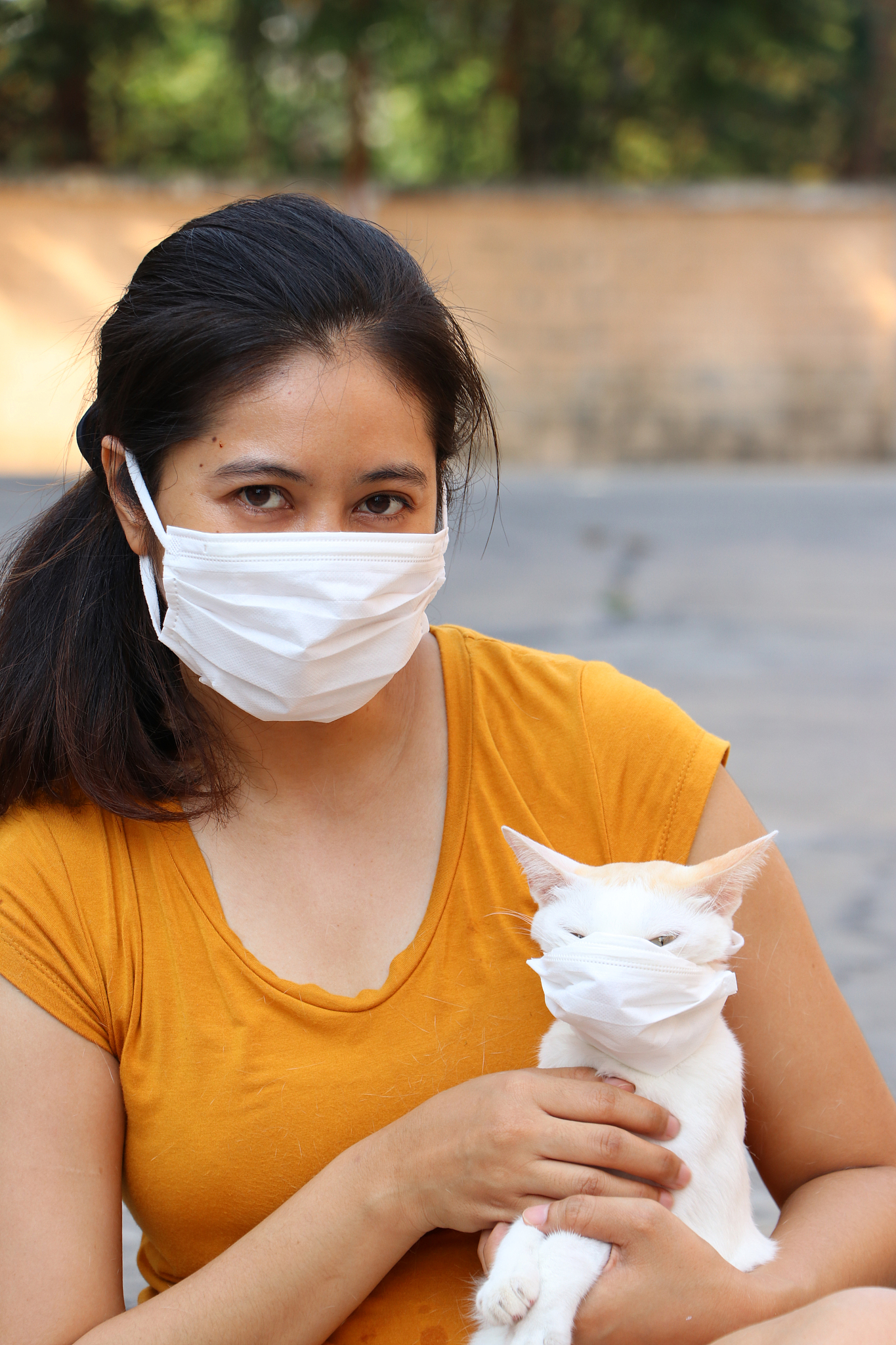 猫疱疹病毒粒子的大小 - 了解猫疱疹病毒感染