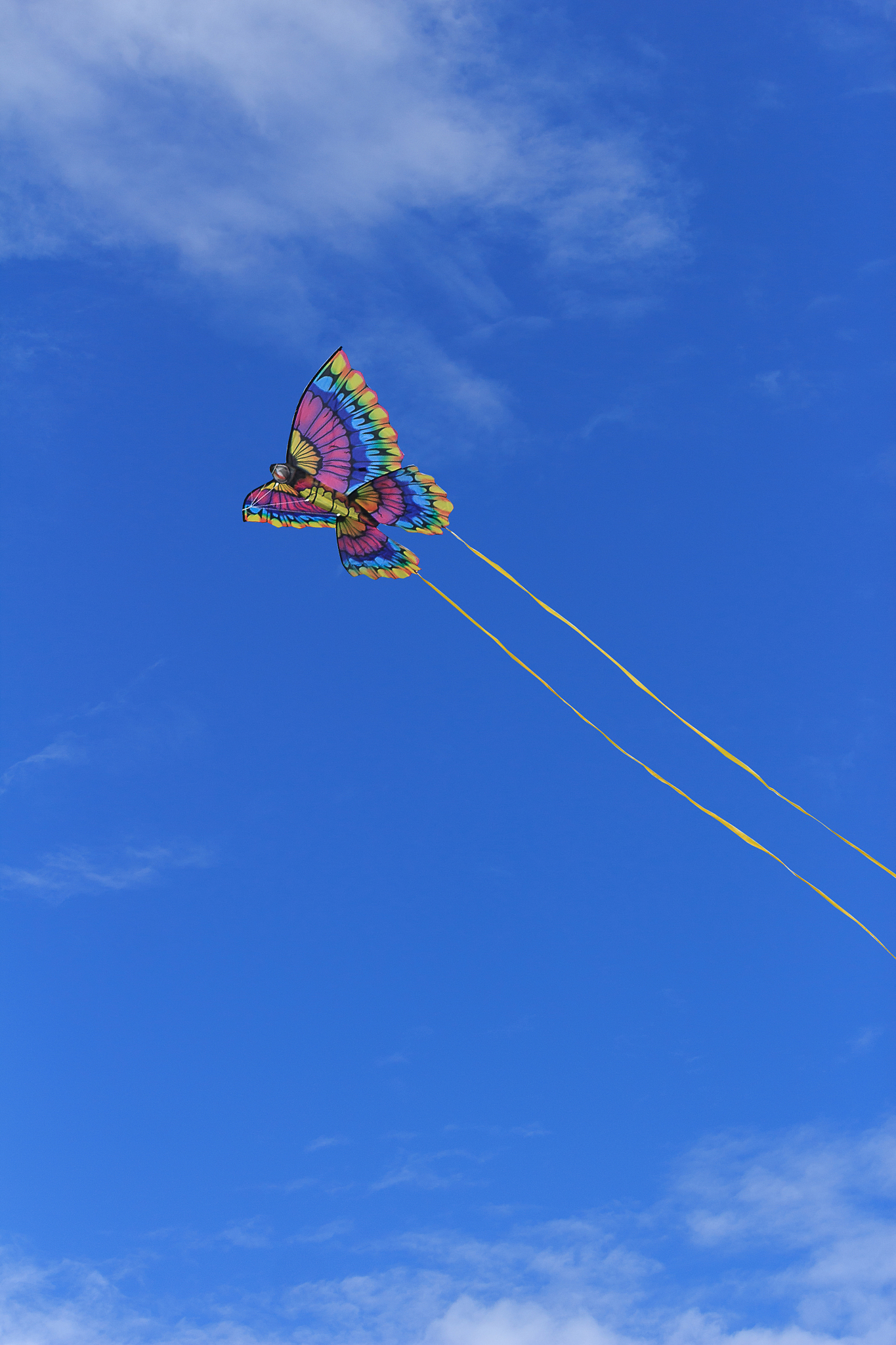 rainbow colored butterfly kite