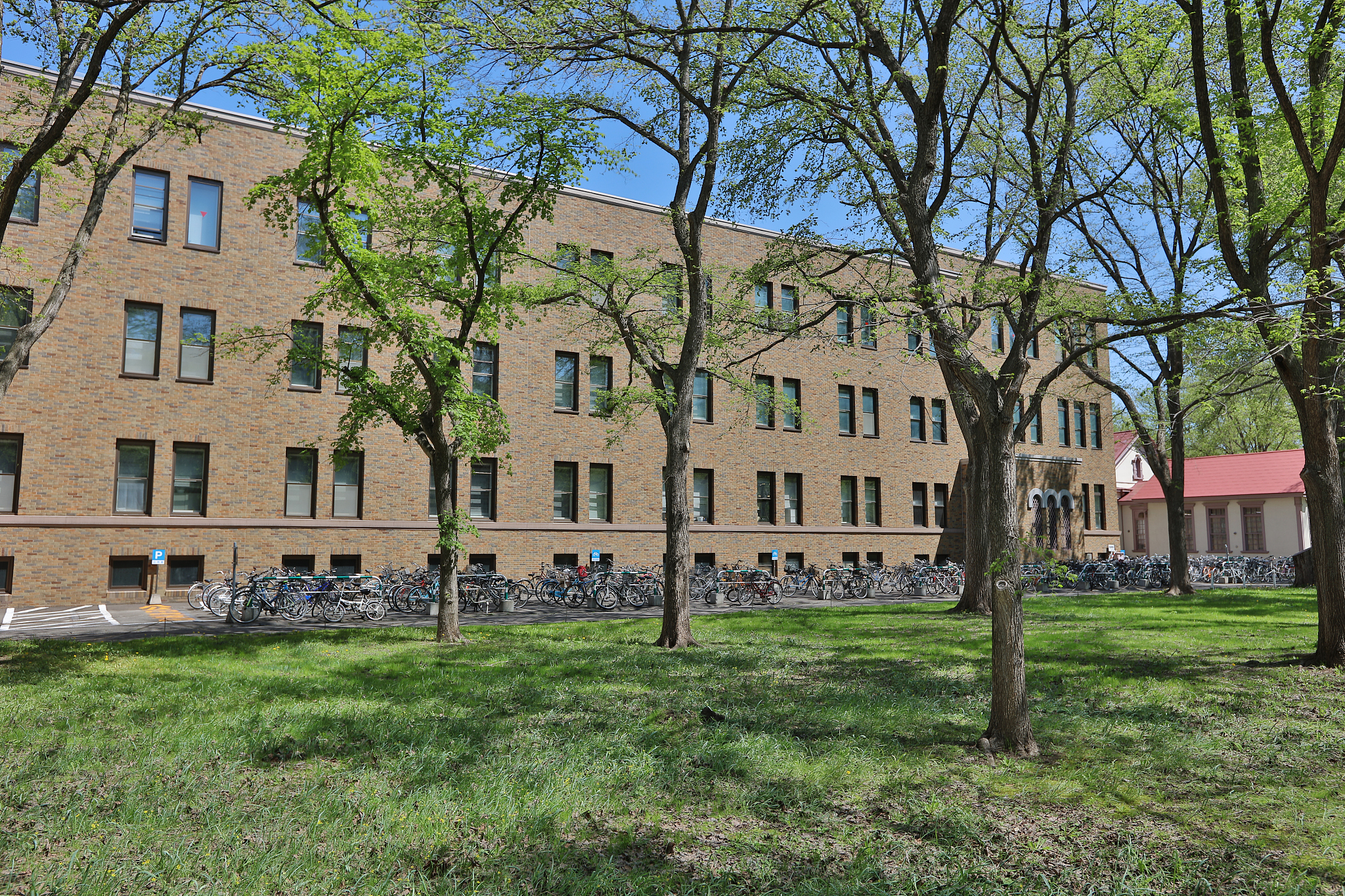 landsvape at the hokkaido university in japan