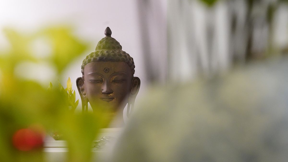 不看金面看佛面是什么意思_词语不看金面看佛面的意思