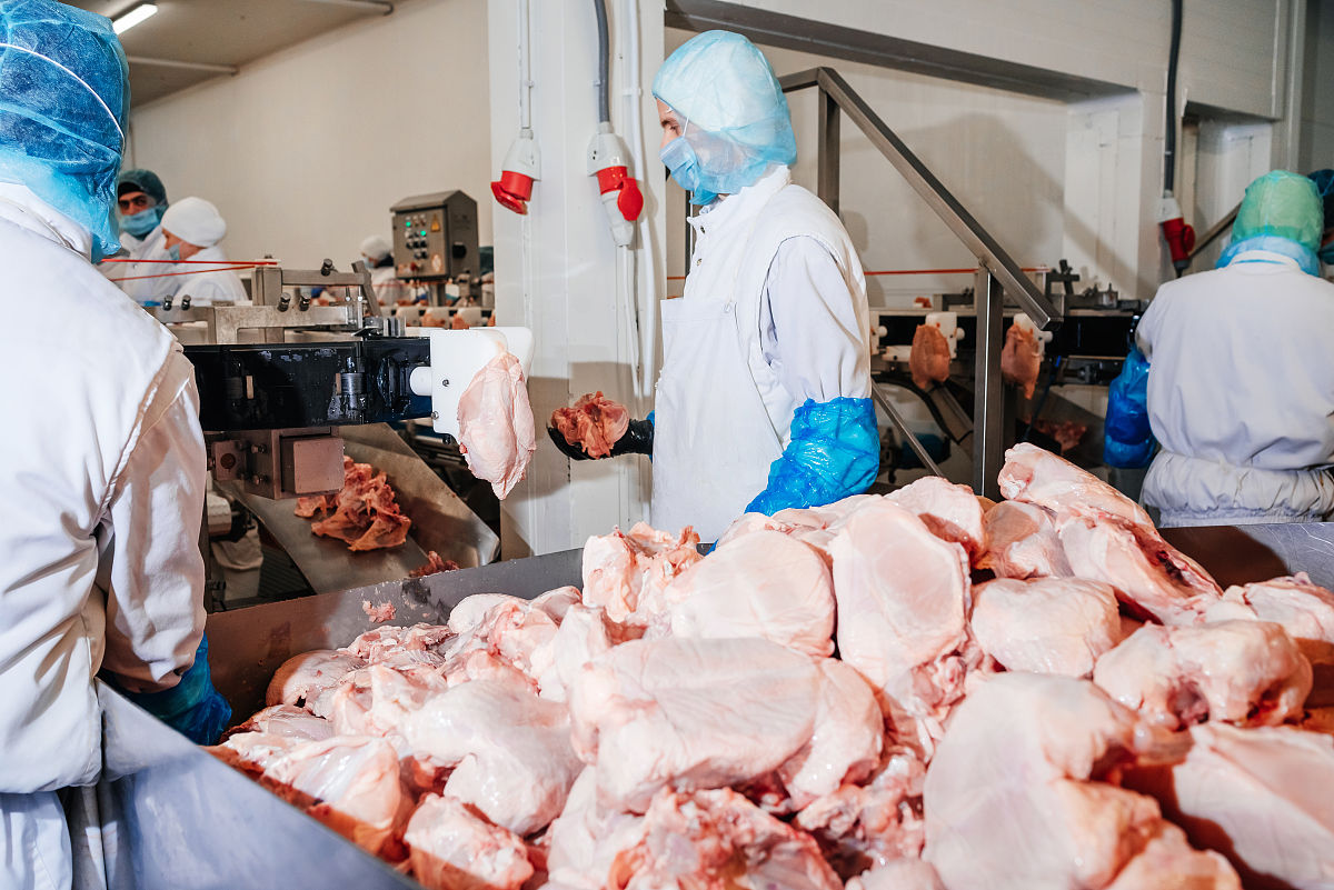 工业肉是什么意思_词语工业肉的意思