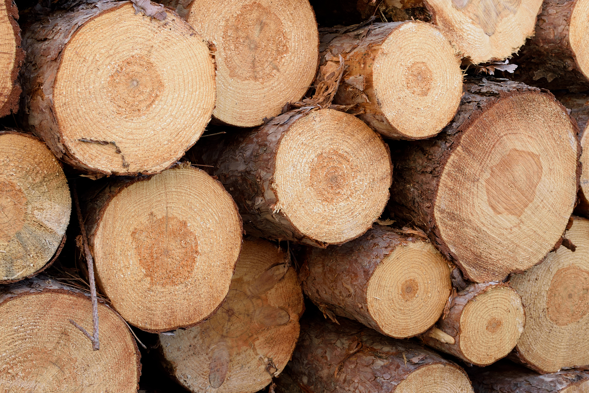 林产化工技术专科专业怎么样？