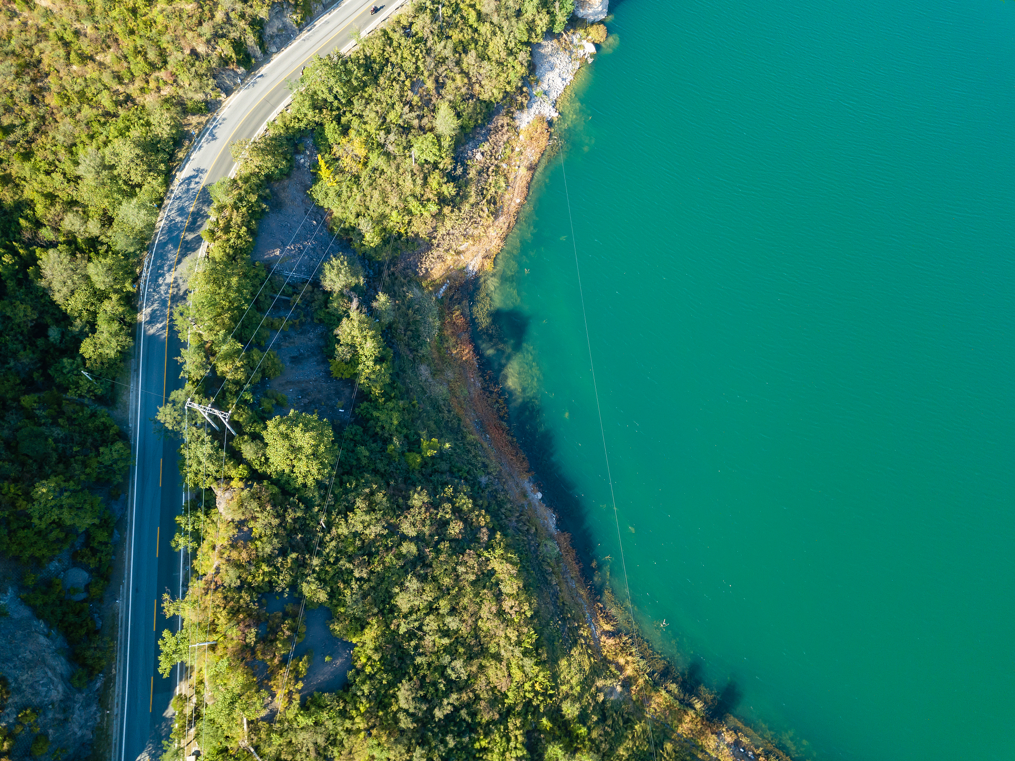 碧蓝航线天童爱丽丝性格解析：元气少女的魅力解读