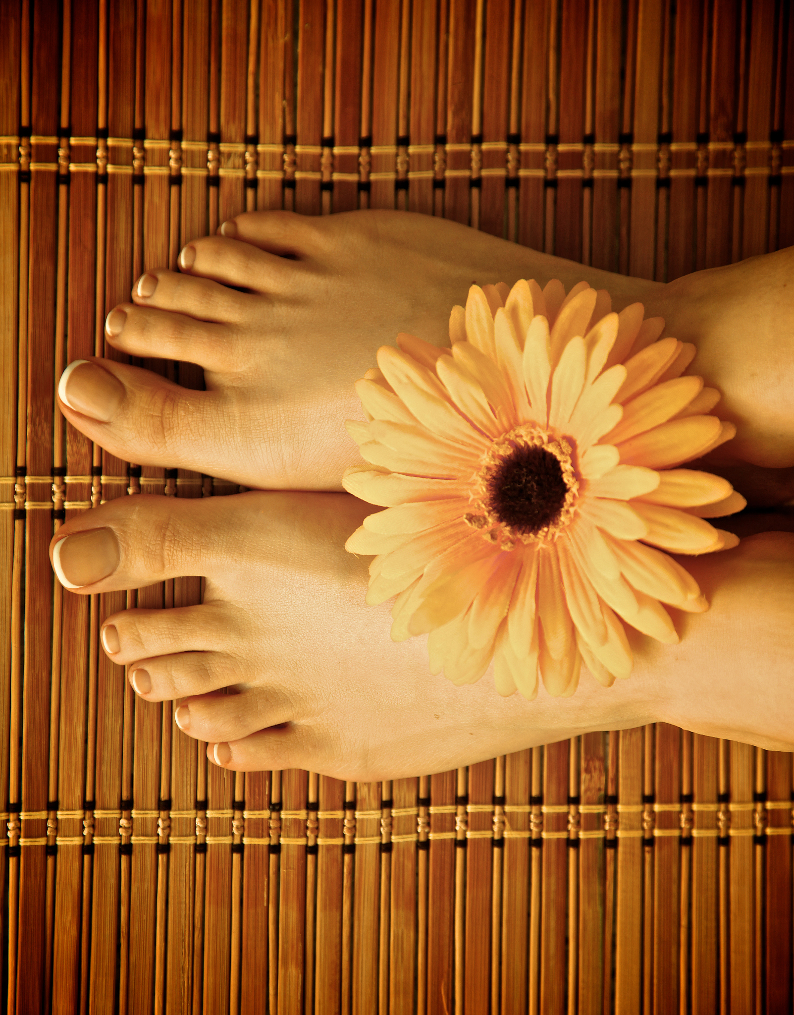 care for beautiful woman legs with flower