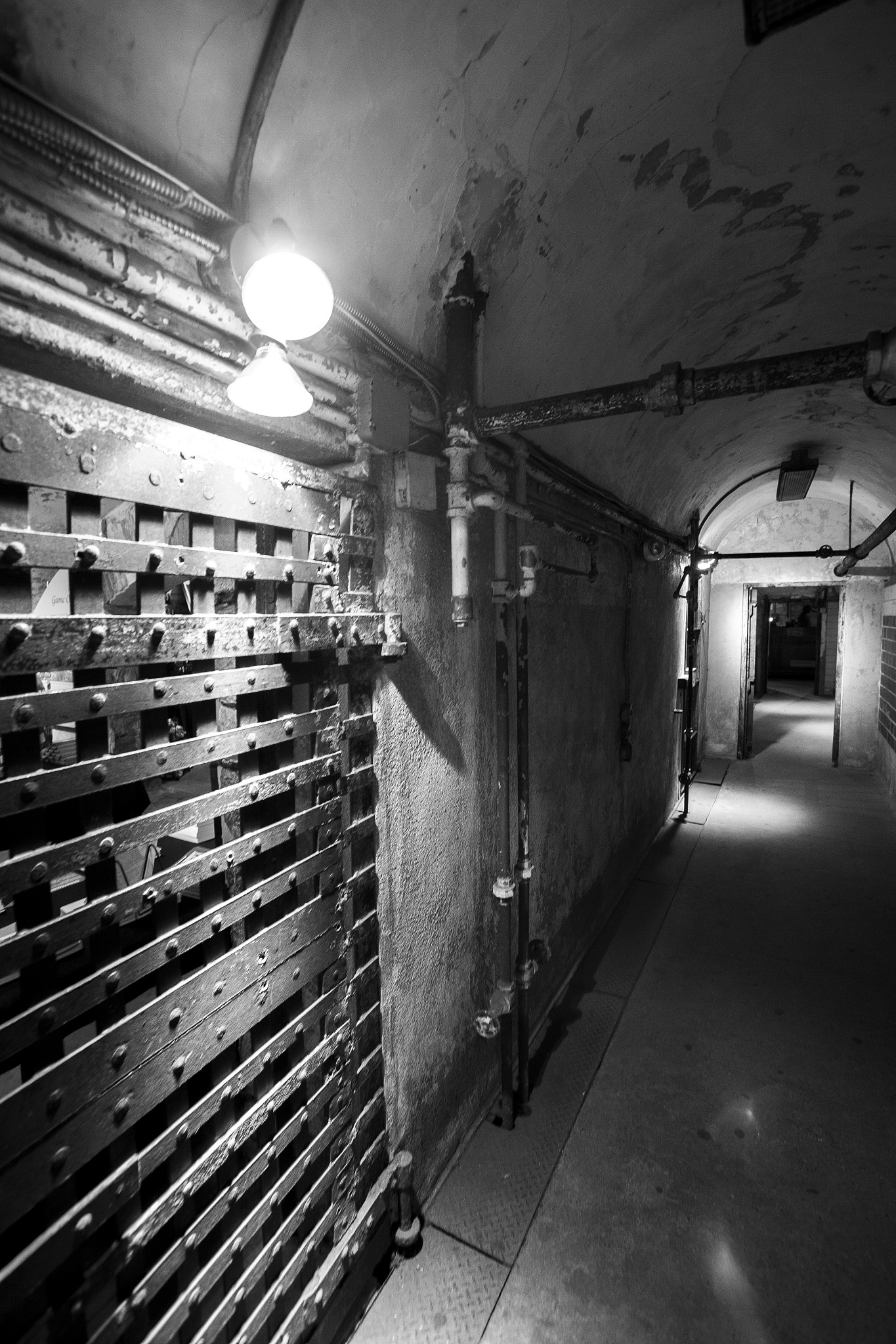 末世该怎么储存食物