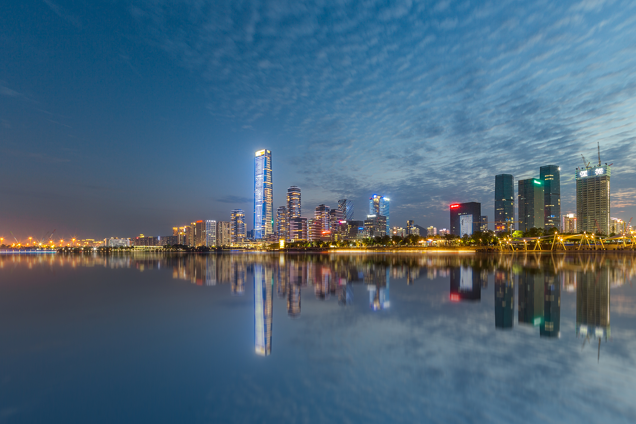 深圳人才公园夜景-11
