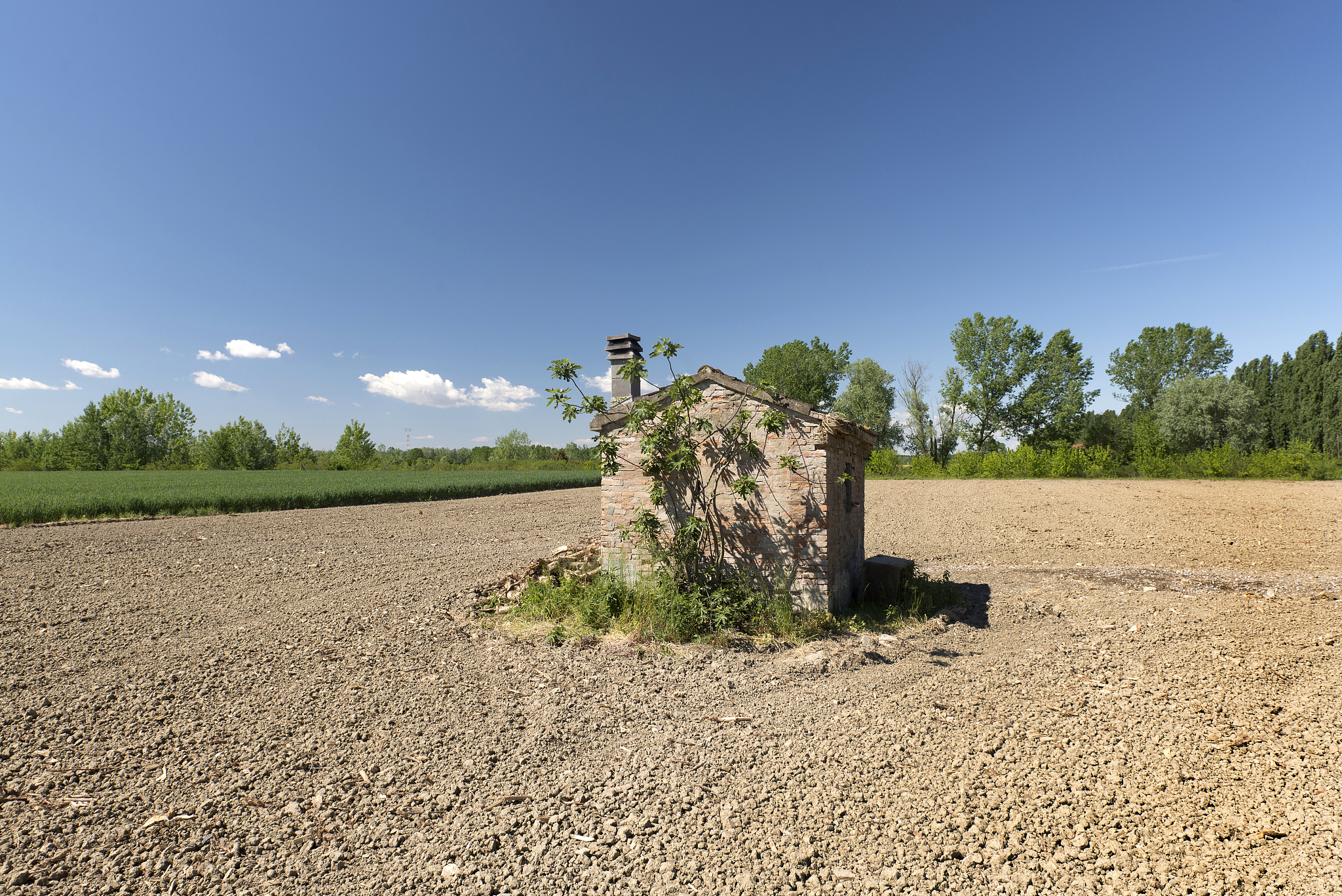 河南省农业经济学校热门专业有哪些？