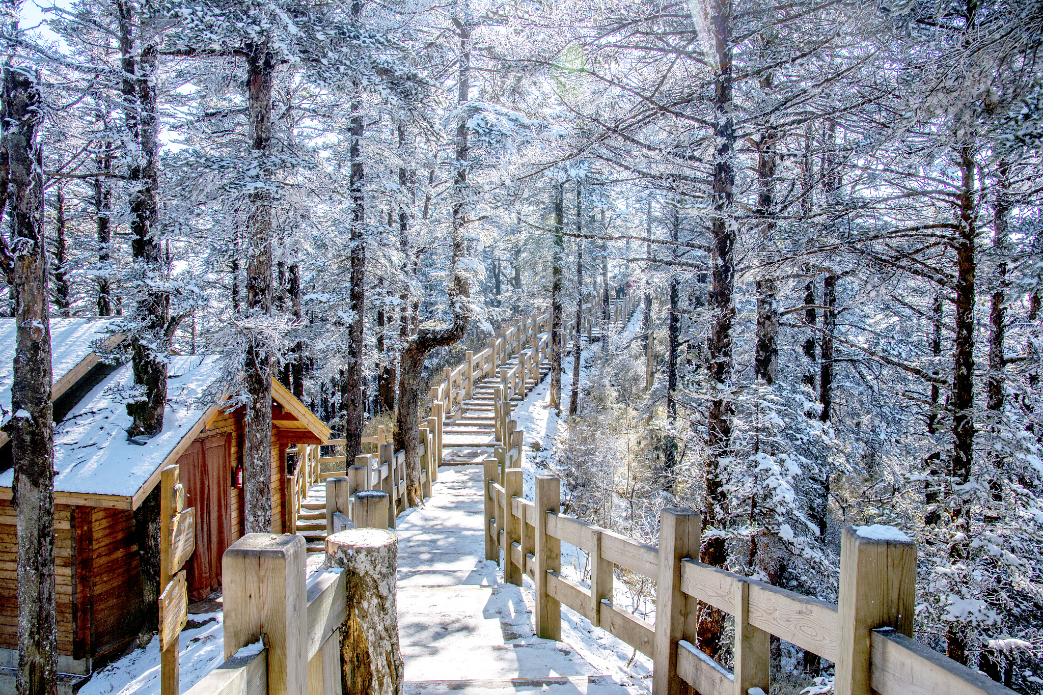 大邑县职业高级中学地址及乘车路线 - 交通指南
