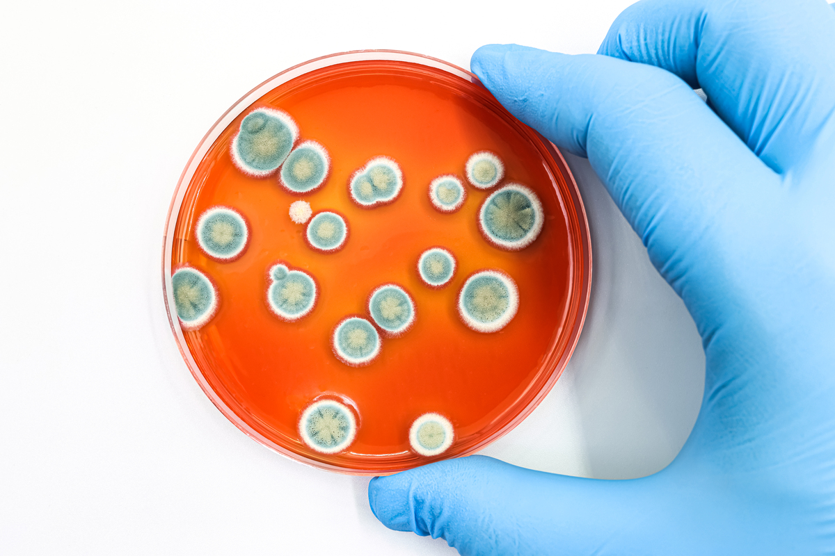 制药微生物科工作内容介绍：职责、技能要求和未来发展