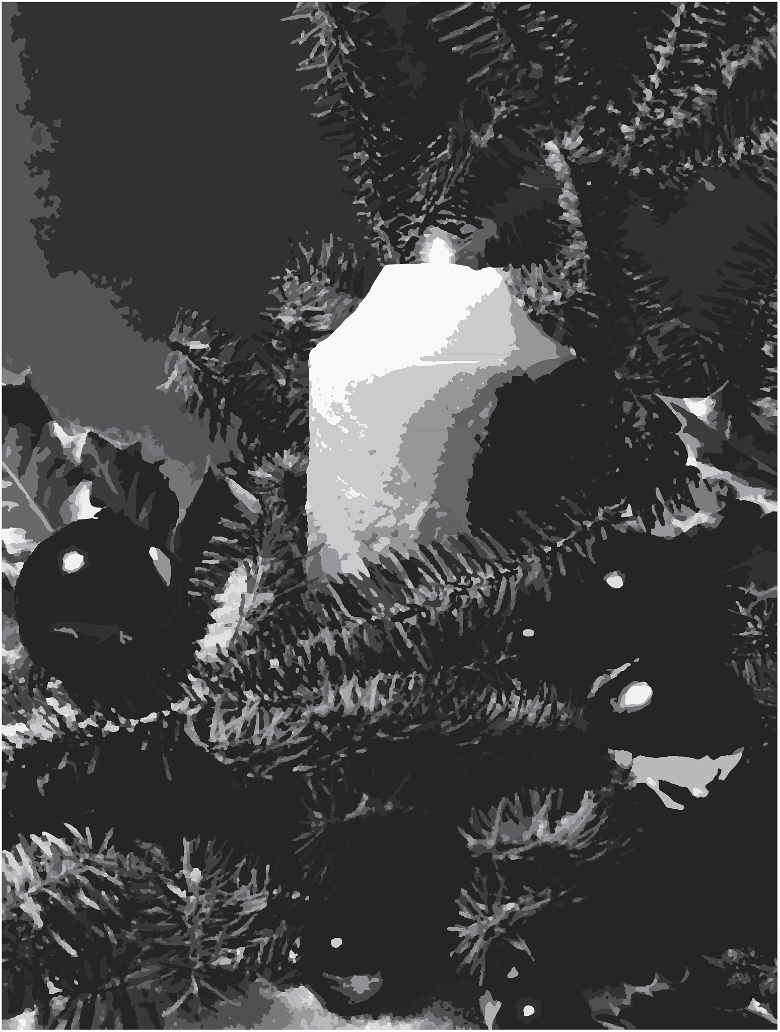 if isinstanceimg npndarray and lenimgshape == 2 img = cv2cvtColorimg cv2COLOR_GRAY2BGR 里面lenimgshape == 2是什么种类的图像