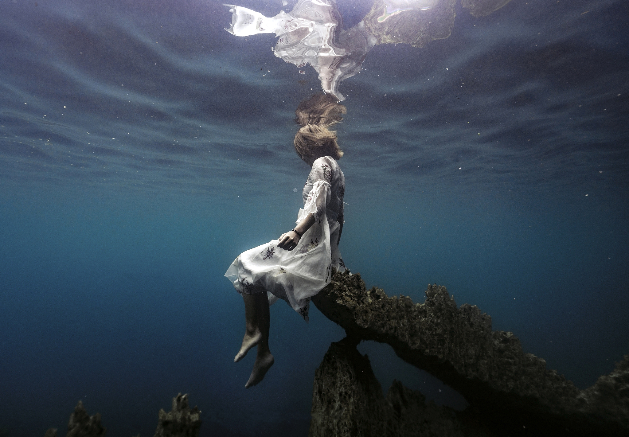 人鱼与污染：凝望共生的迷离画卷