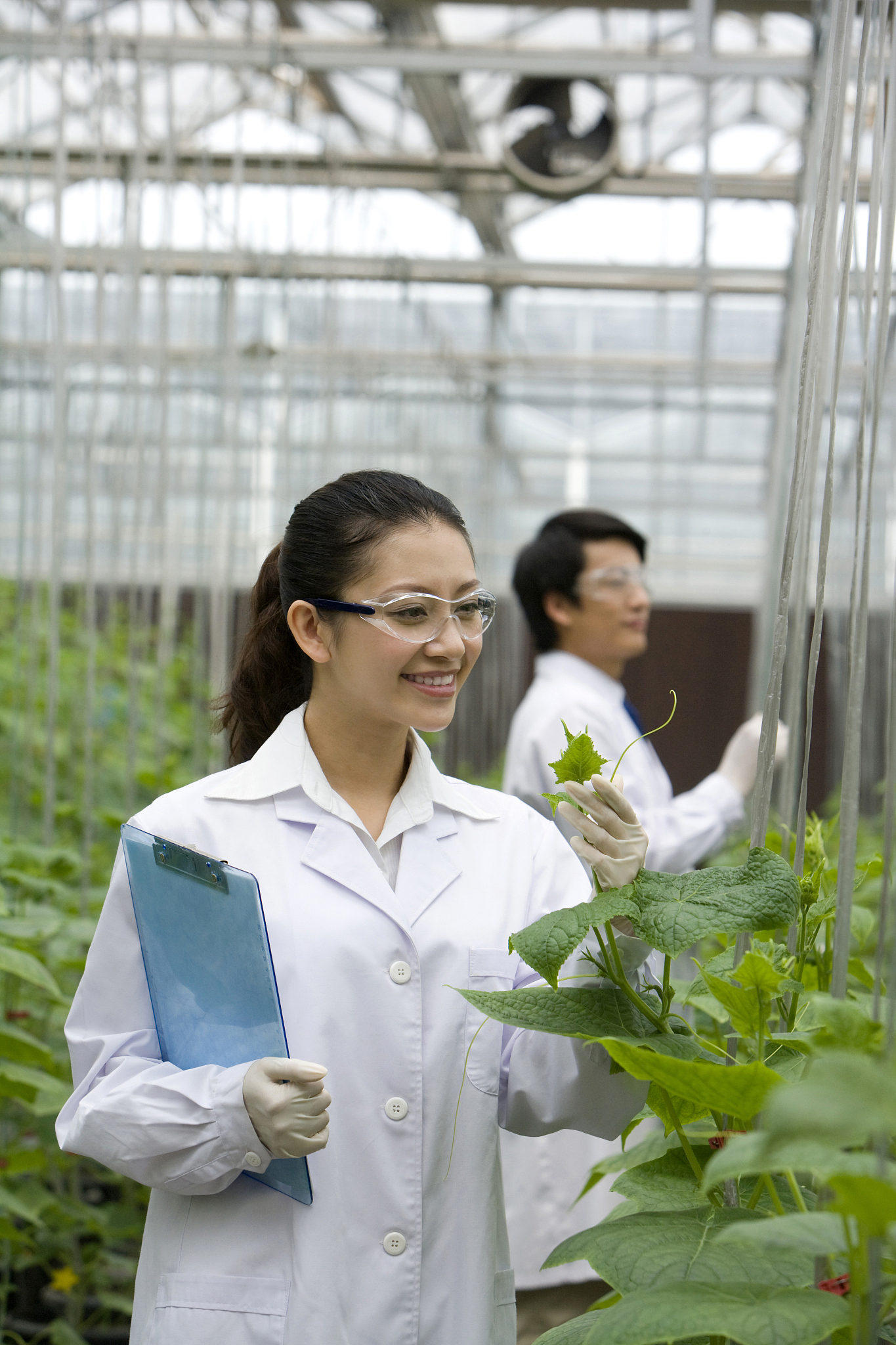 丽江市古城区职业高级中学中草药种植专业2022年招生