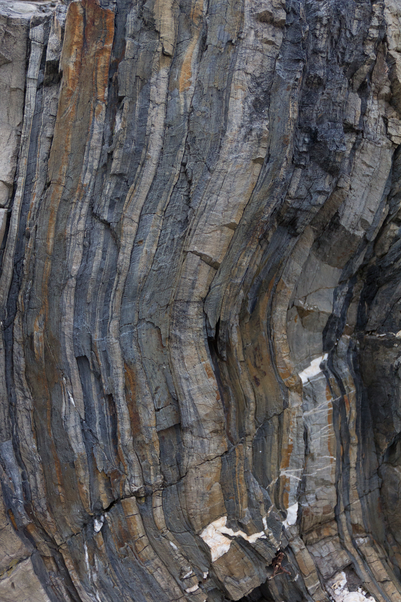 《Journal of Metamorphic Geology》期刊推荐理由：地质学研究者的首选