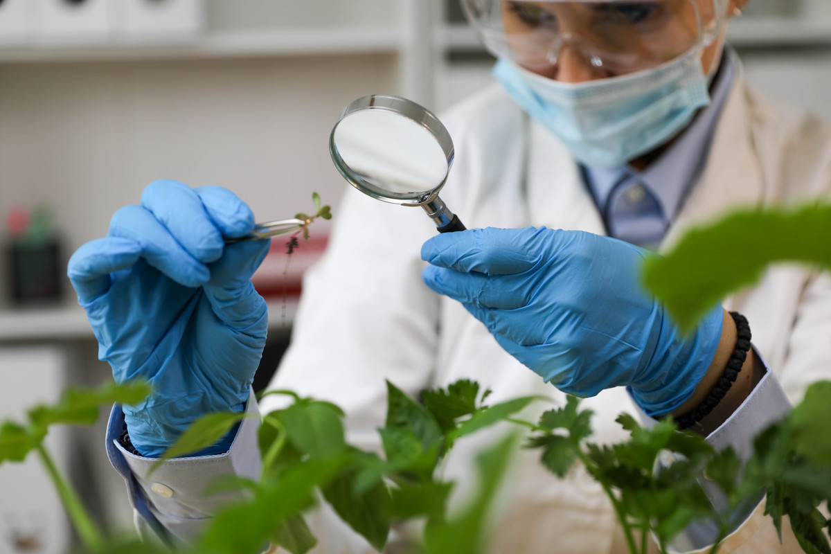 植物化学保护的挑战与发展方向：抗药性、环境友好型方法和技术创新