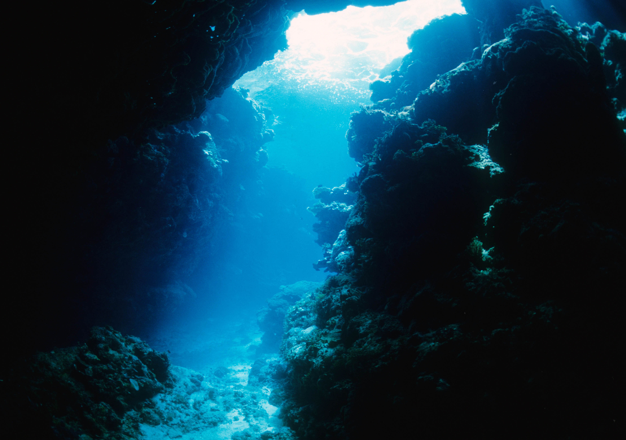 the beauty of the cayman islands