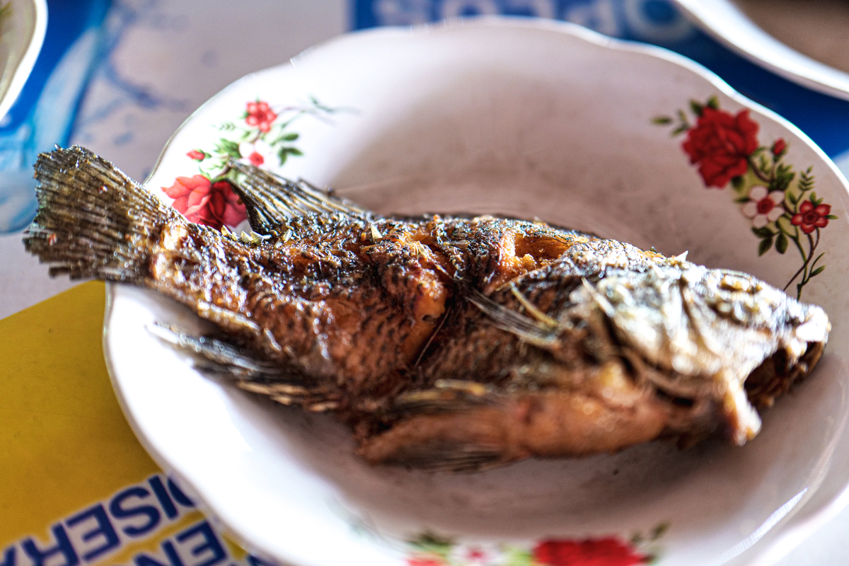 老默，我想吃鱼！你最拿手的鱼菜是什么？