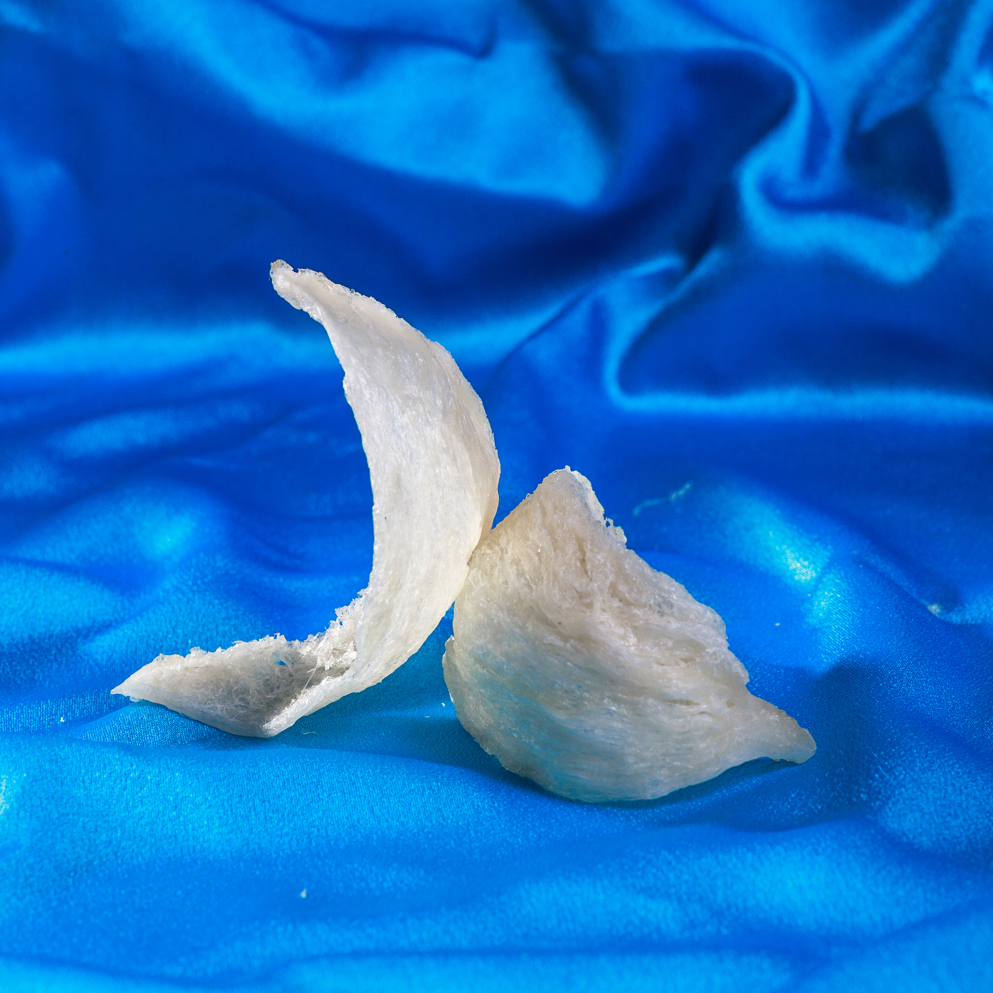 官燕和燕窝的区别是什么