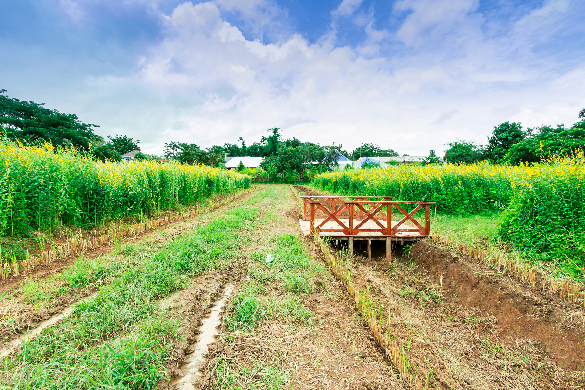 2020北京市丰台区城市园林建设学校招生简章