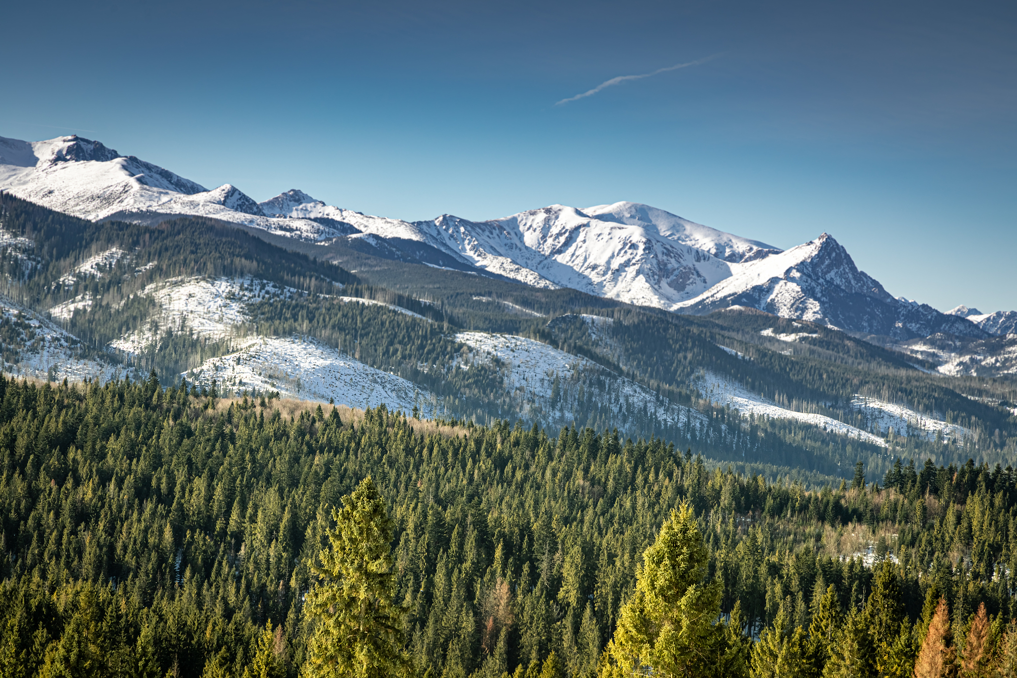 雪山连绵，白桦林立：壮丽雪山美景