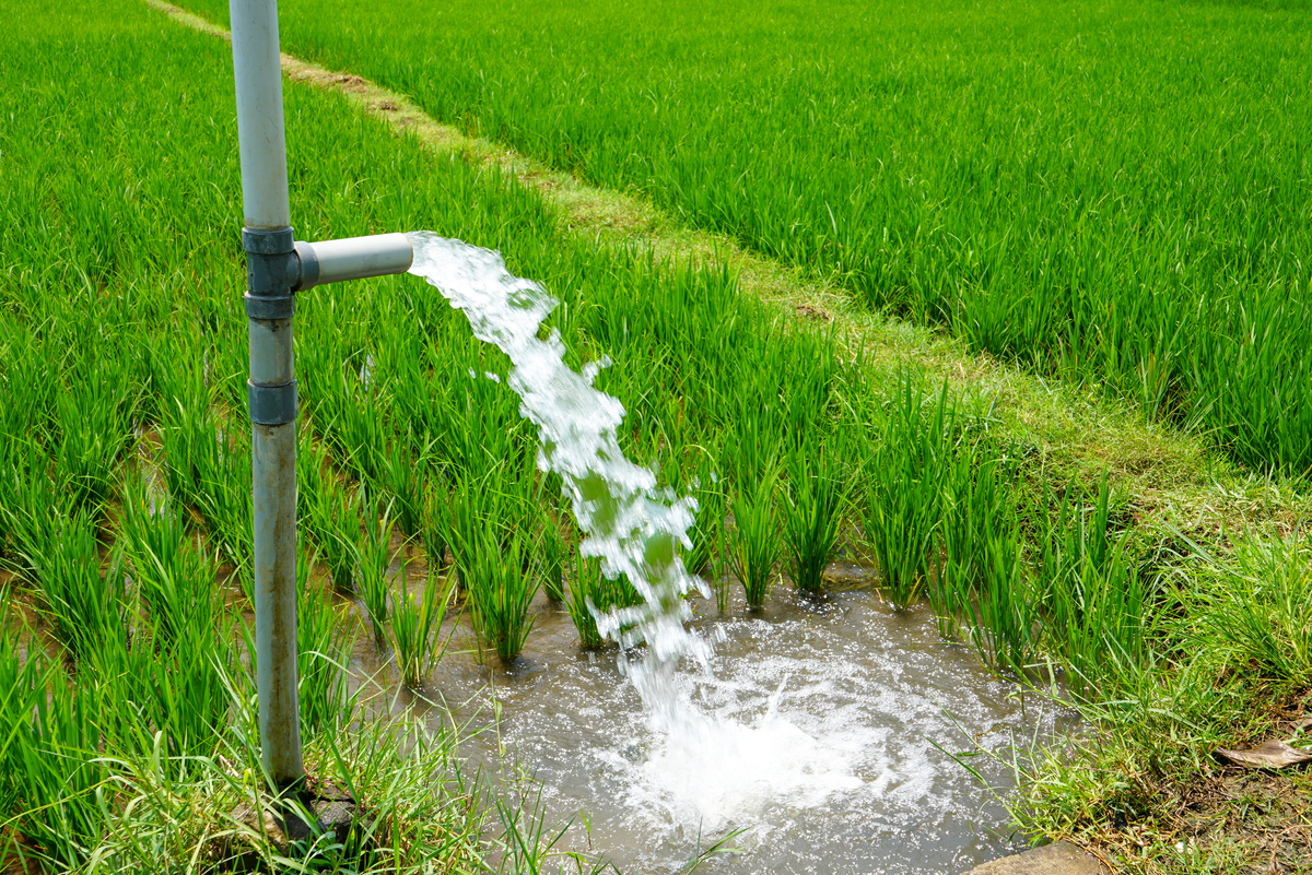 农田水利工程中高效节水灌溉技术应用中加强水利工程高效节水灌溉技术的推广