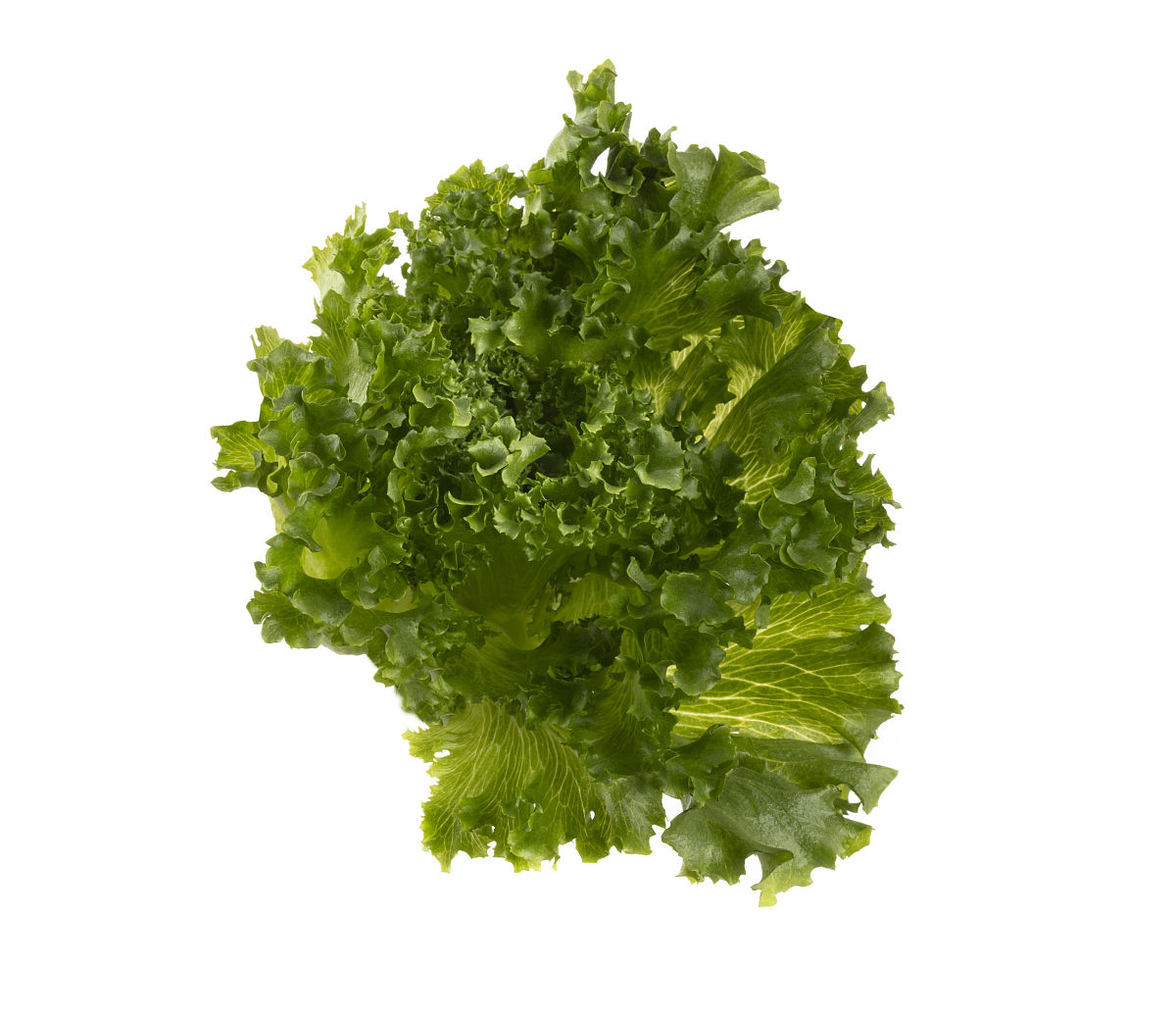 重庆工业职业技术学院工业分析与检验专业好不好学有哪些课程