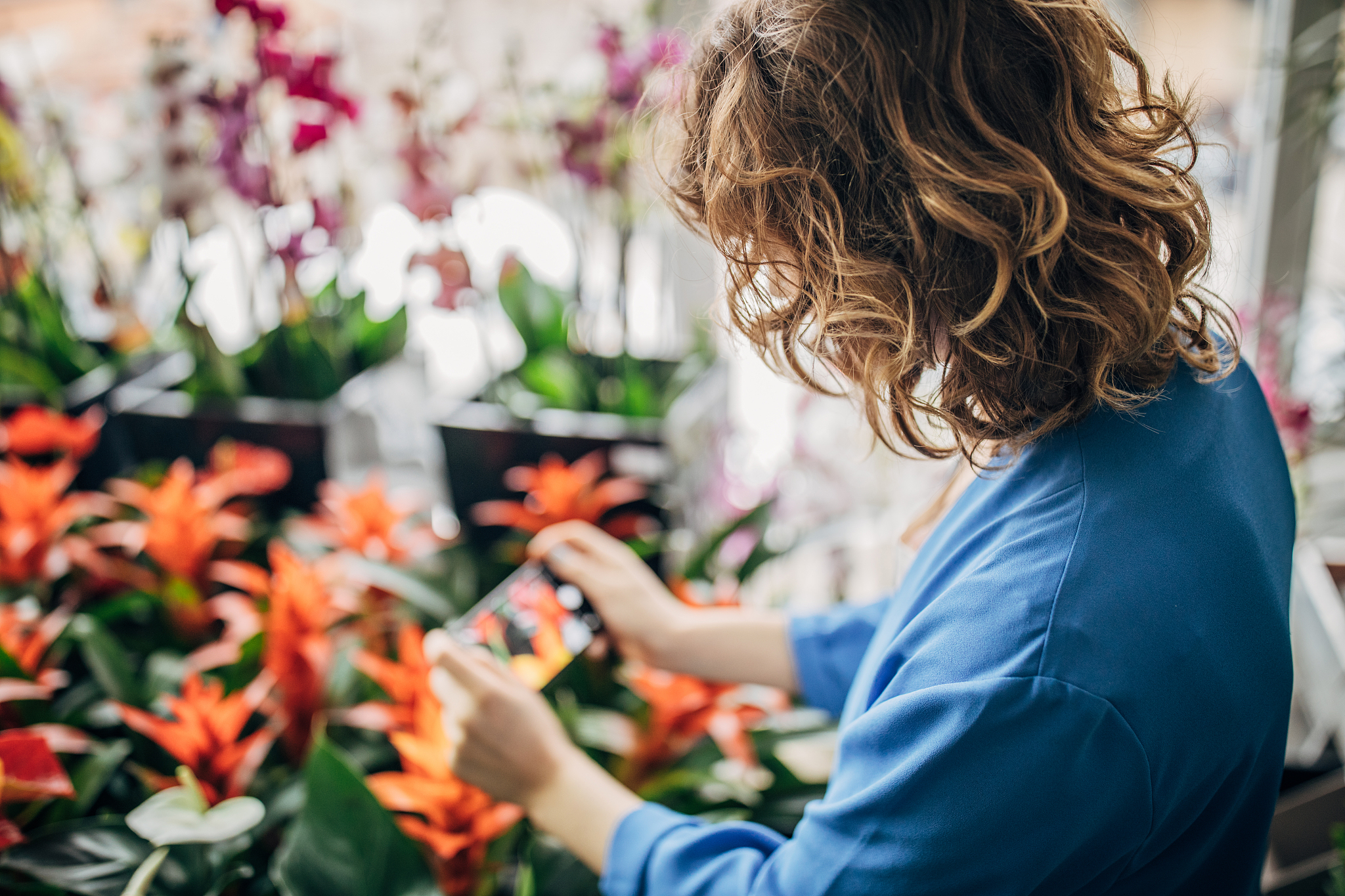 young woman taking photos of flowers