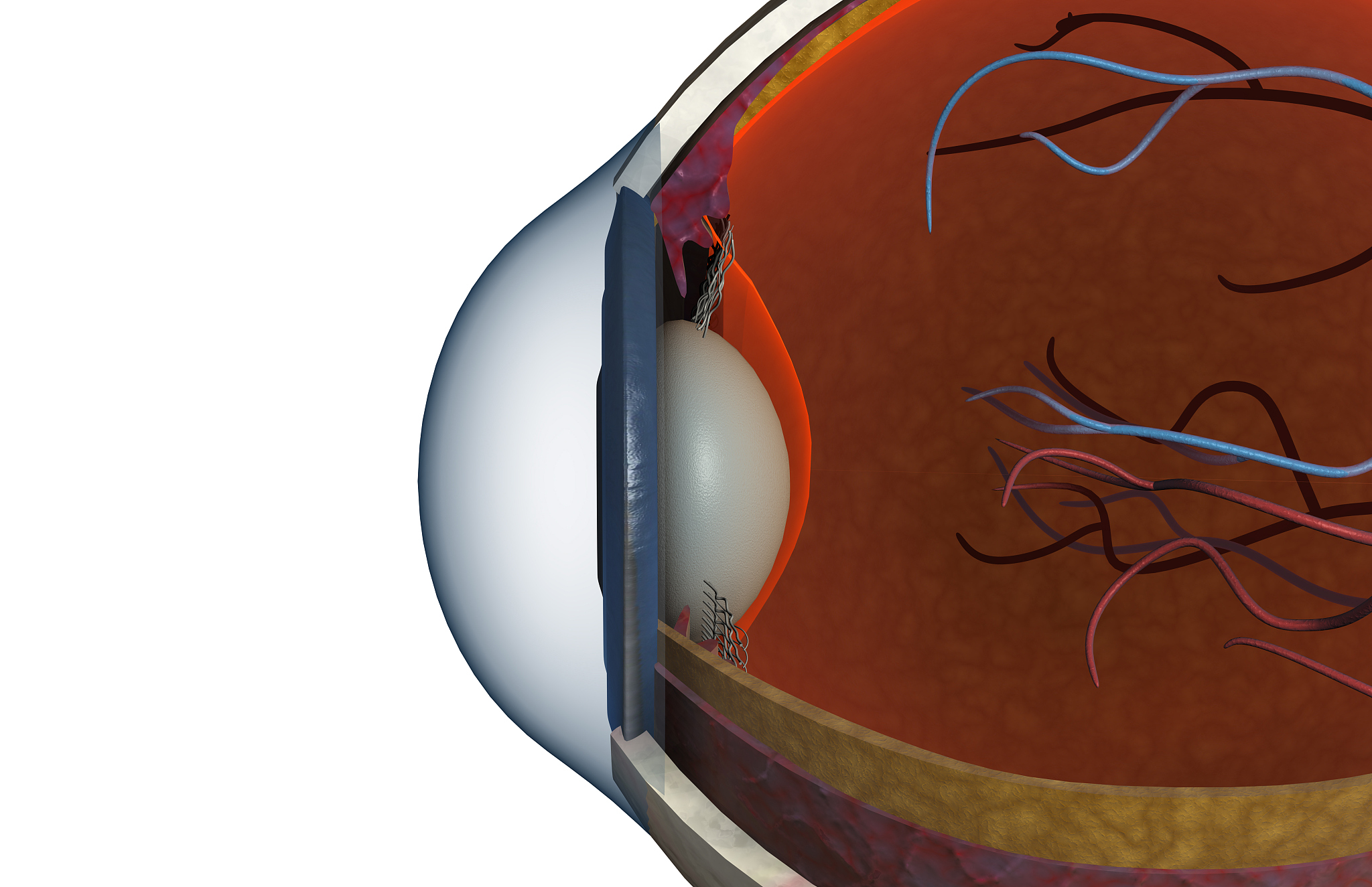 视网膜浅脱导致视野受损，能治好吗？