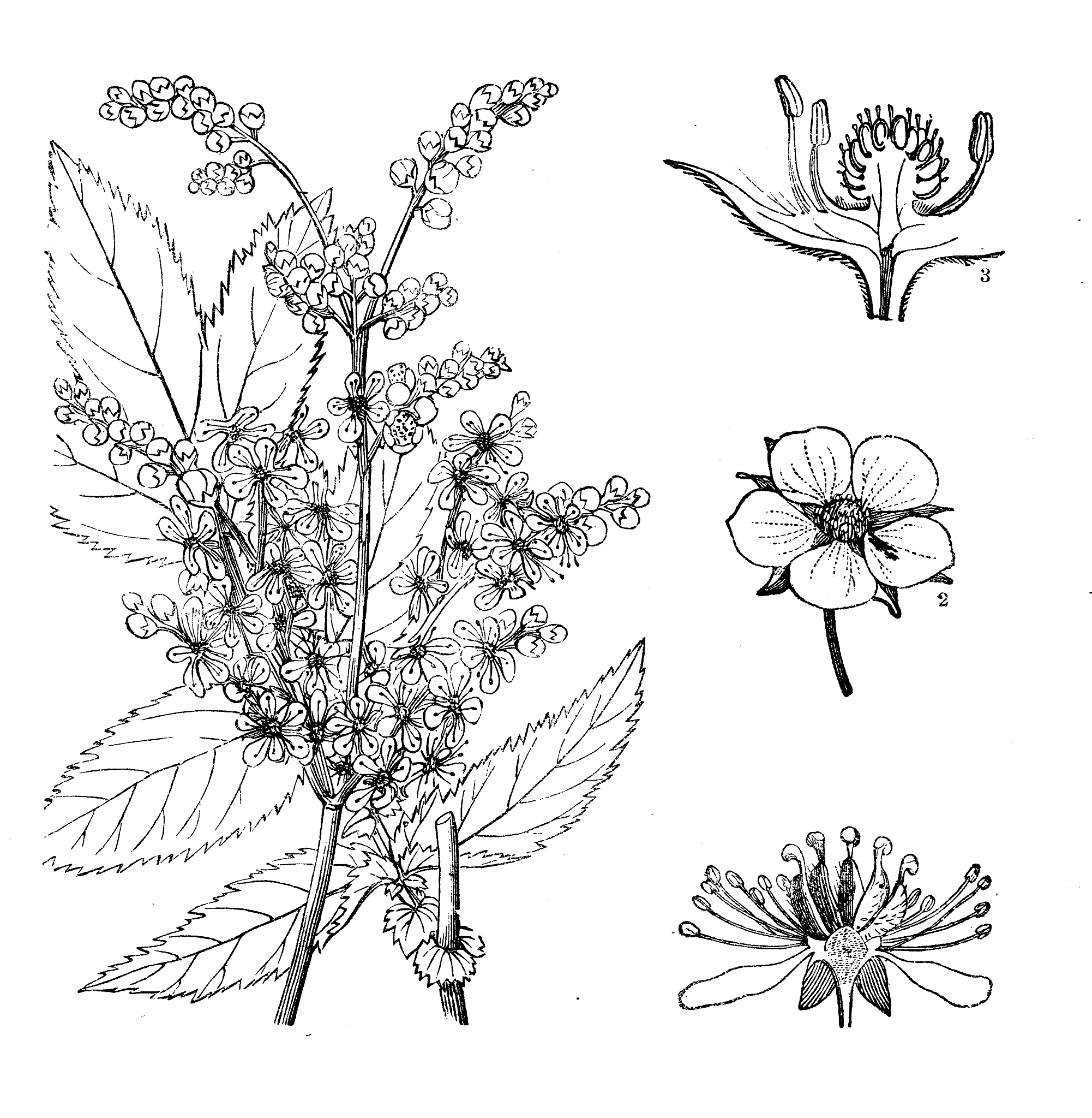 锈湖旅馆手游更新：全新章节、角色、任务及更多精彩内容！