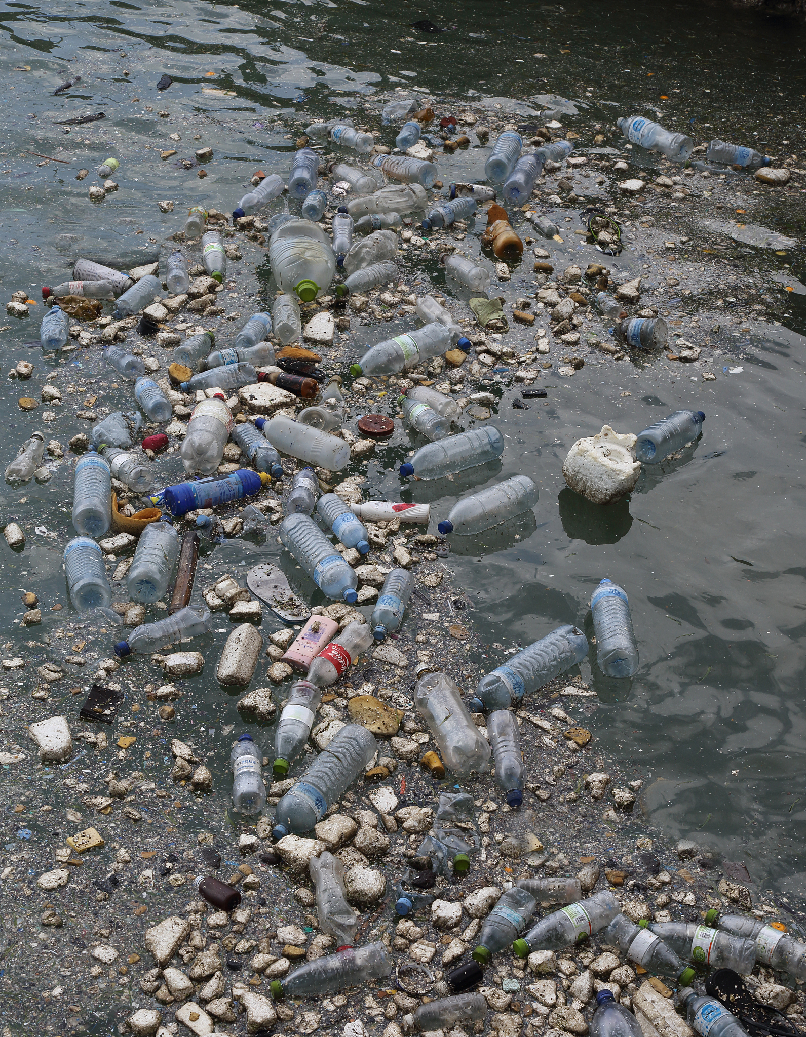 生态环境污染形势严峻：现状、根源与解决方案