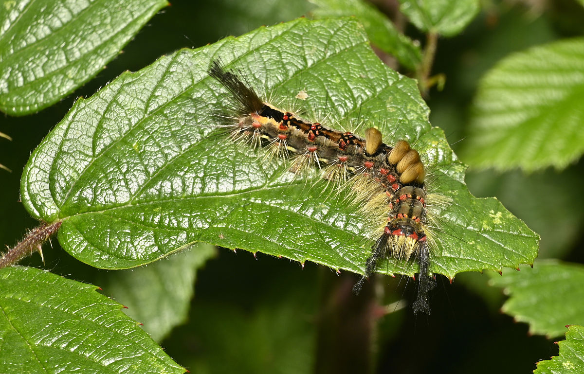 世界历史上的伟大发明和发现：推动人类文明进步的里程碑