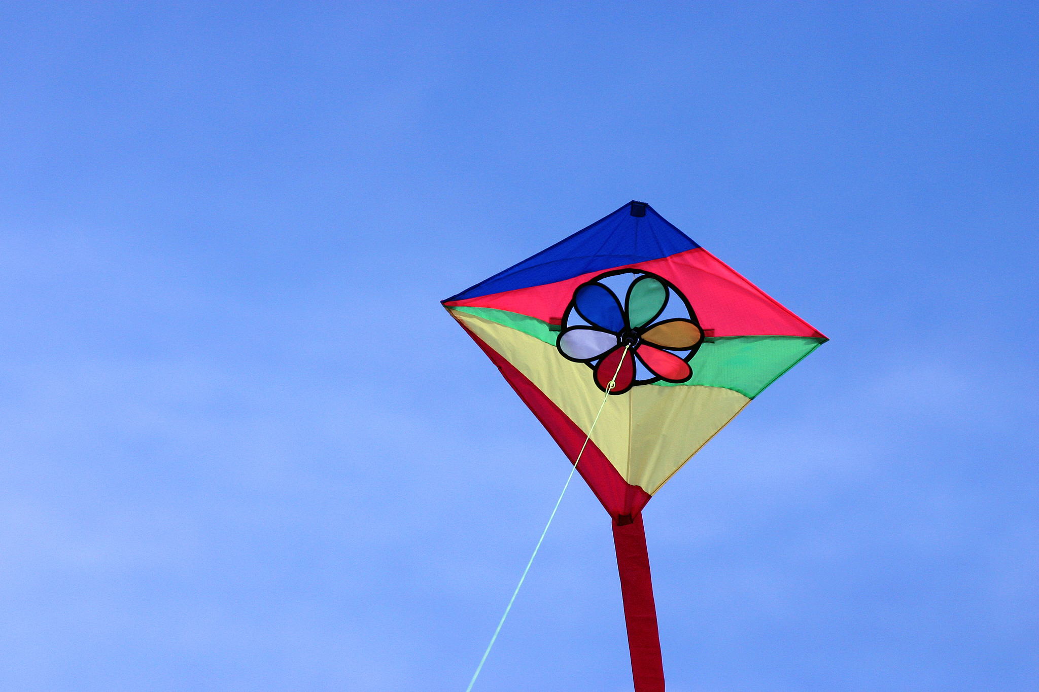 kite in the sky