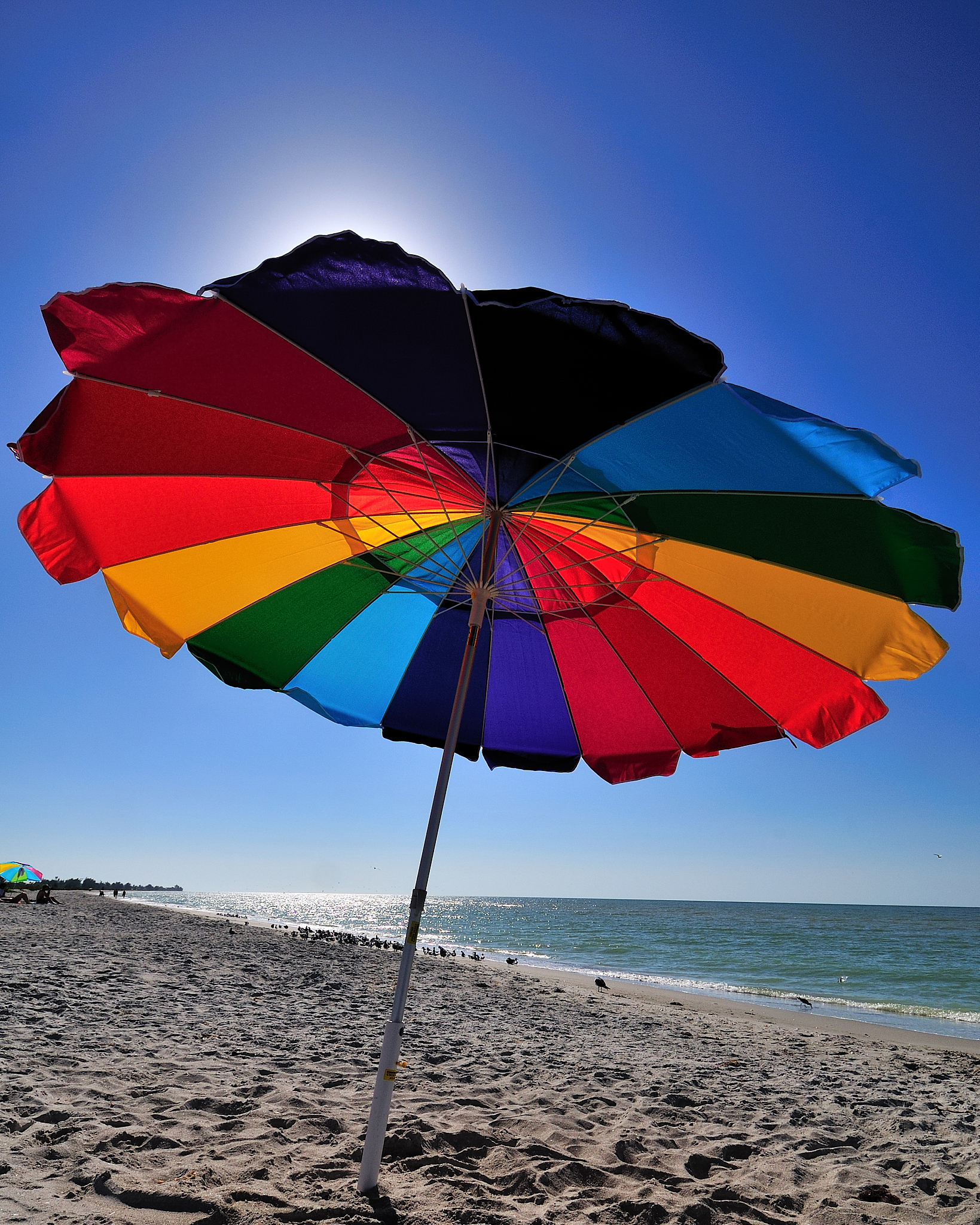 Spiral Beach Ground Stakes Reviews: Sturdy, Stable, and Secure