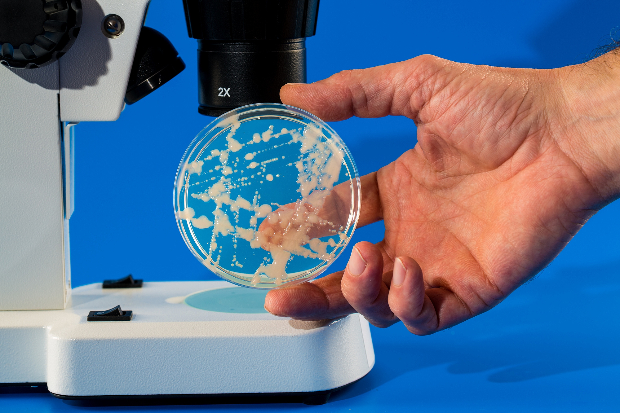 江西生物科技职业学院数控技术专业都学些什么