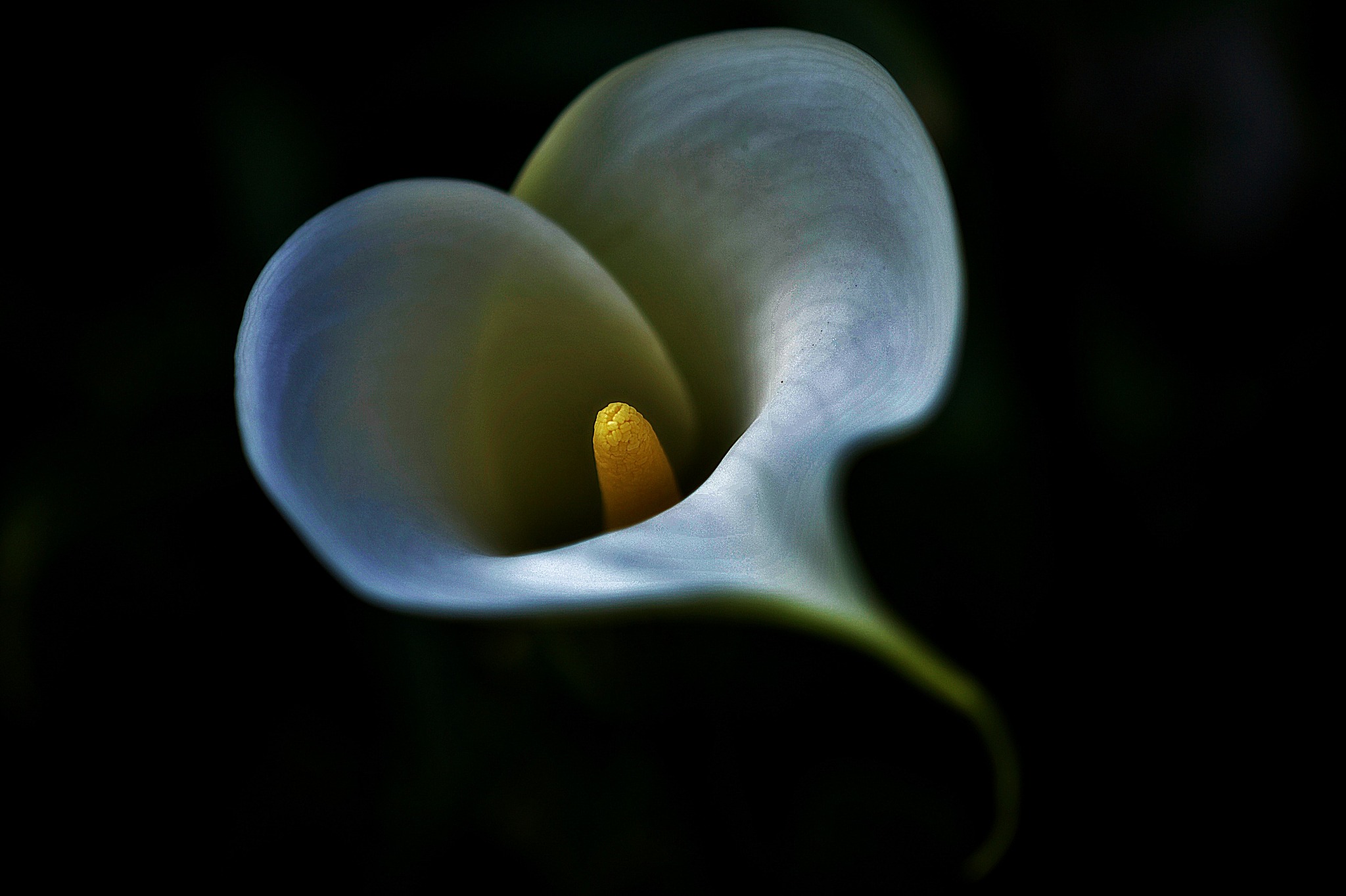 photo by: jolle paur