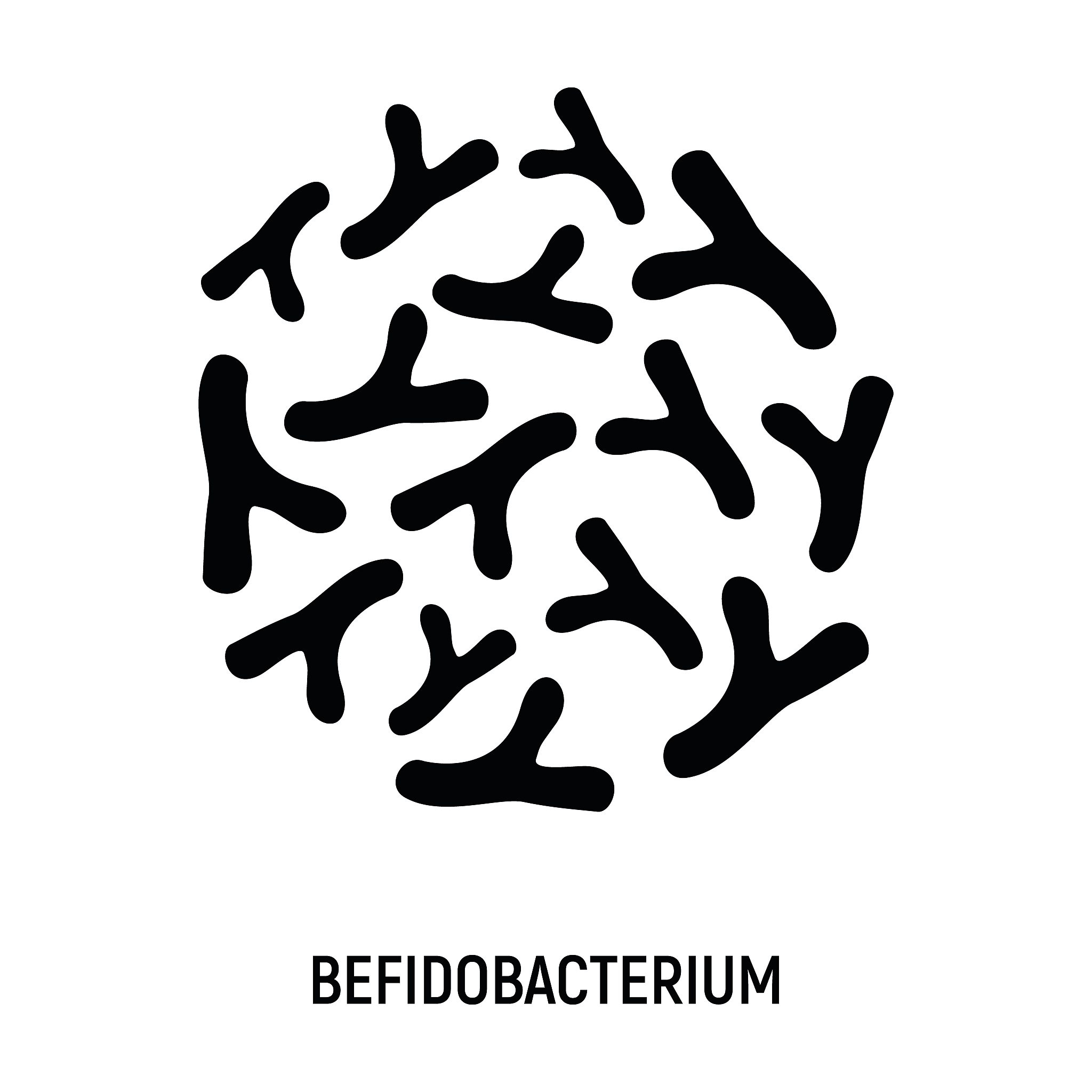 bifidobacterium icon. probiotic concept logo and label. health r