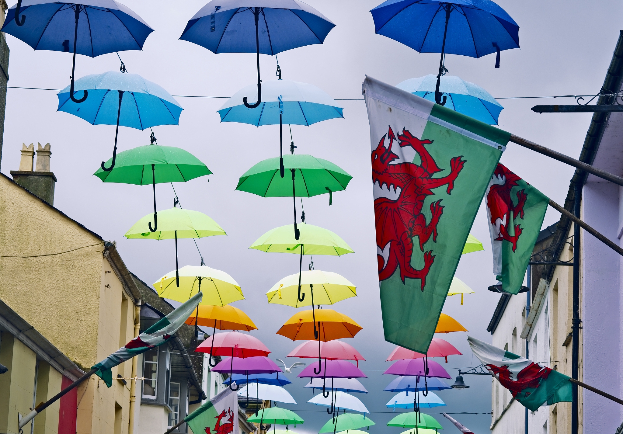colorful umbrellas hanging against sky