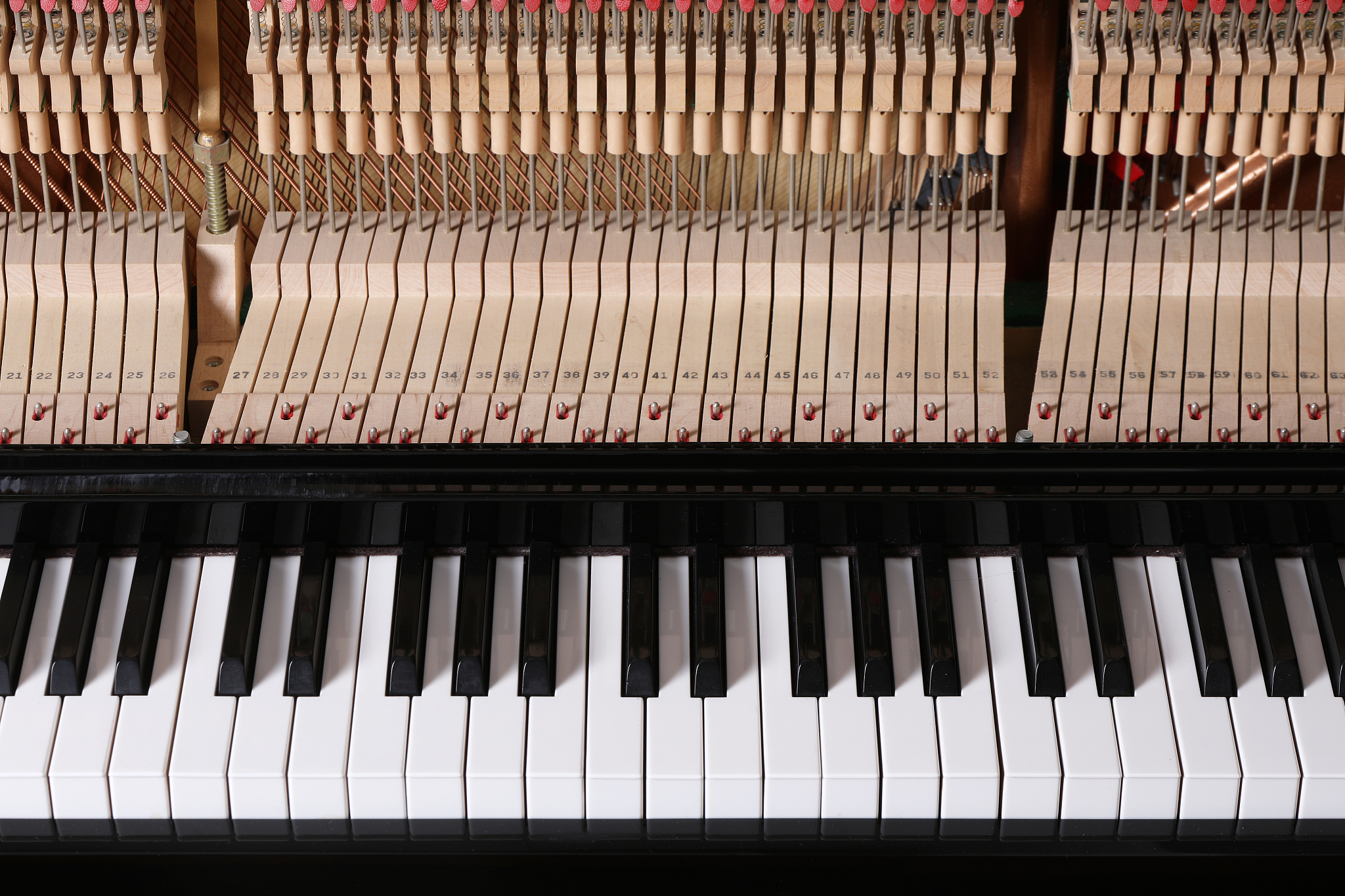 Learn Piano Notes: A Simple Guide to Playing Do Re Mi Fa So La Si