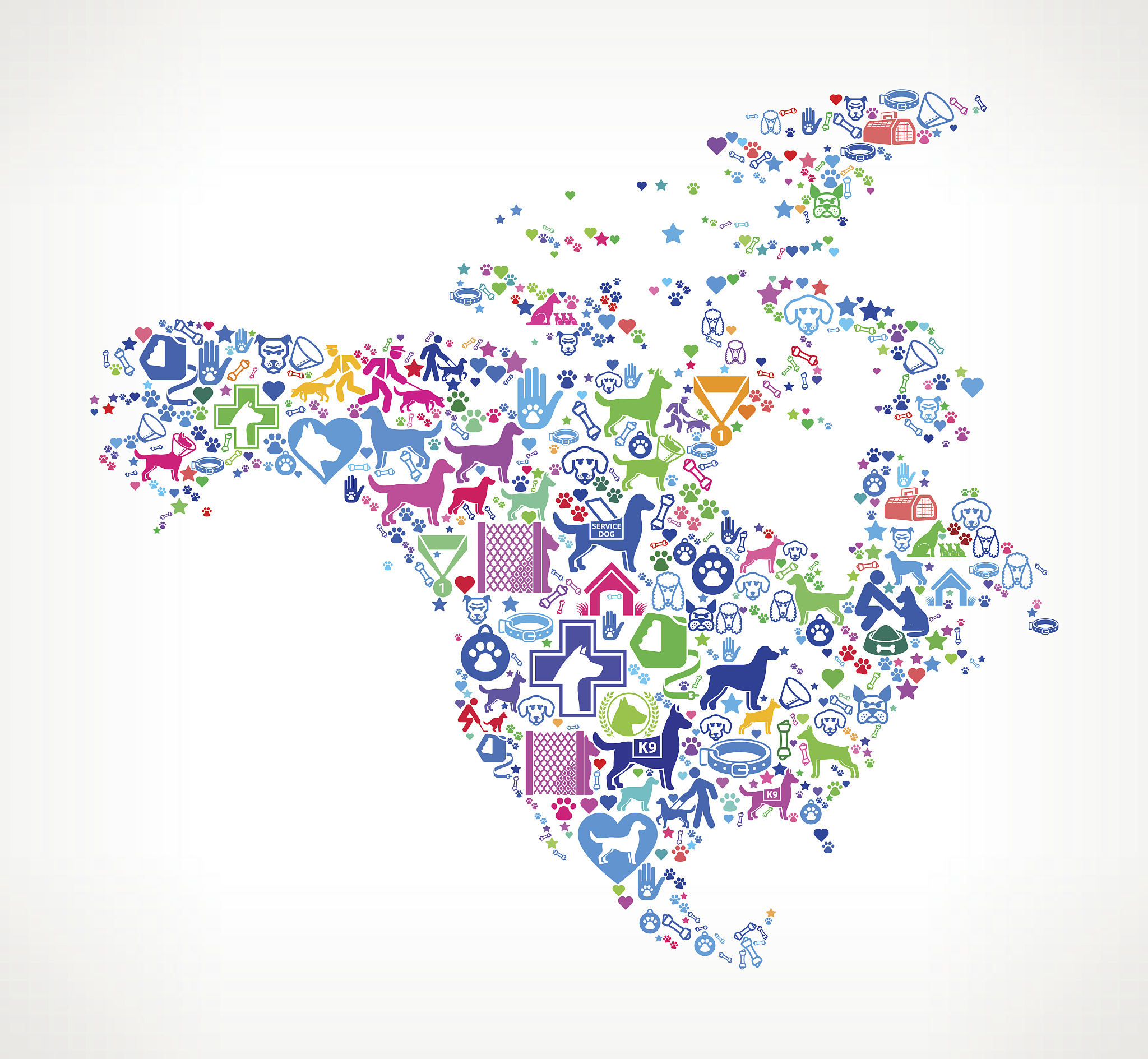 north america dog and canine pet colorful icon pattern