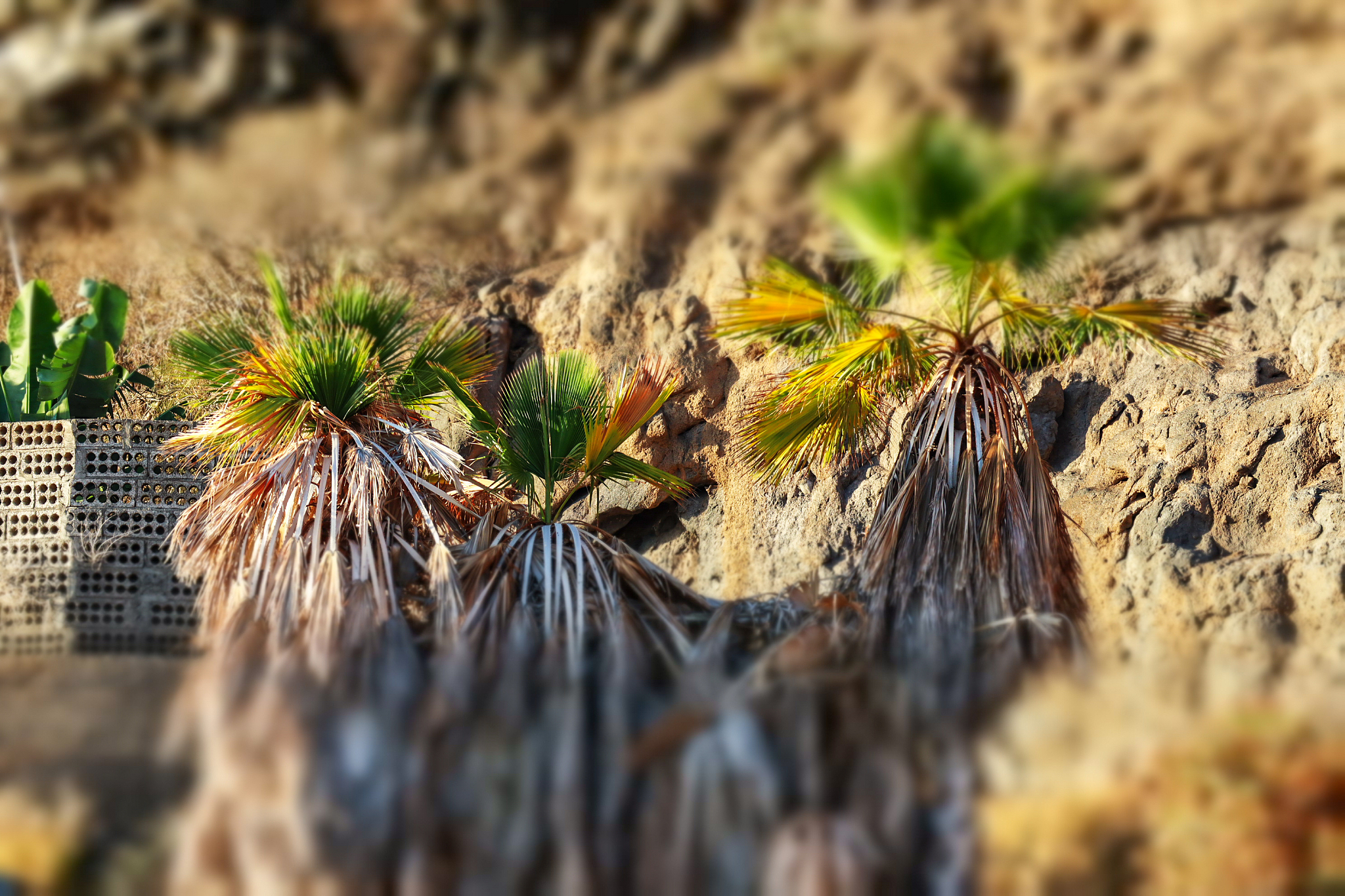 原神角色魈剪辑指南：打造高燃战斗瞬间