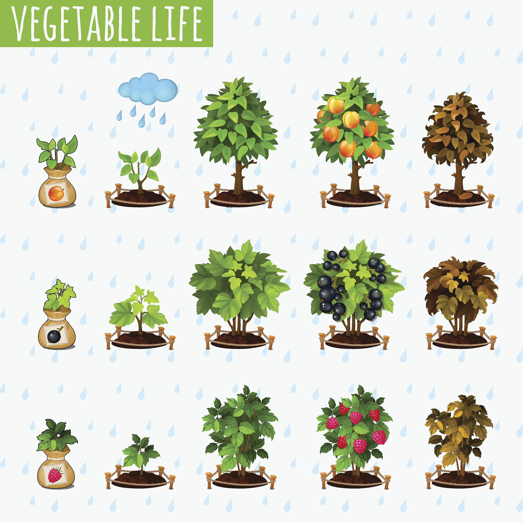 荔波职业高级中学2022年农学专业招生简章