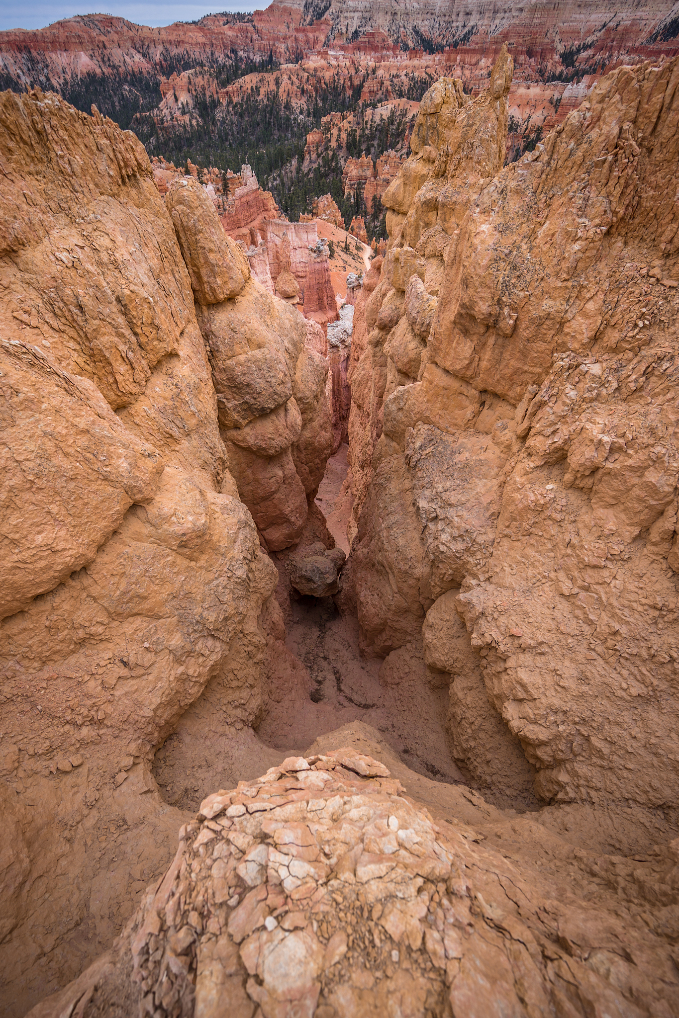 地理的思想史什么 有哪些主要的地理思想