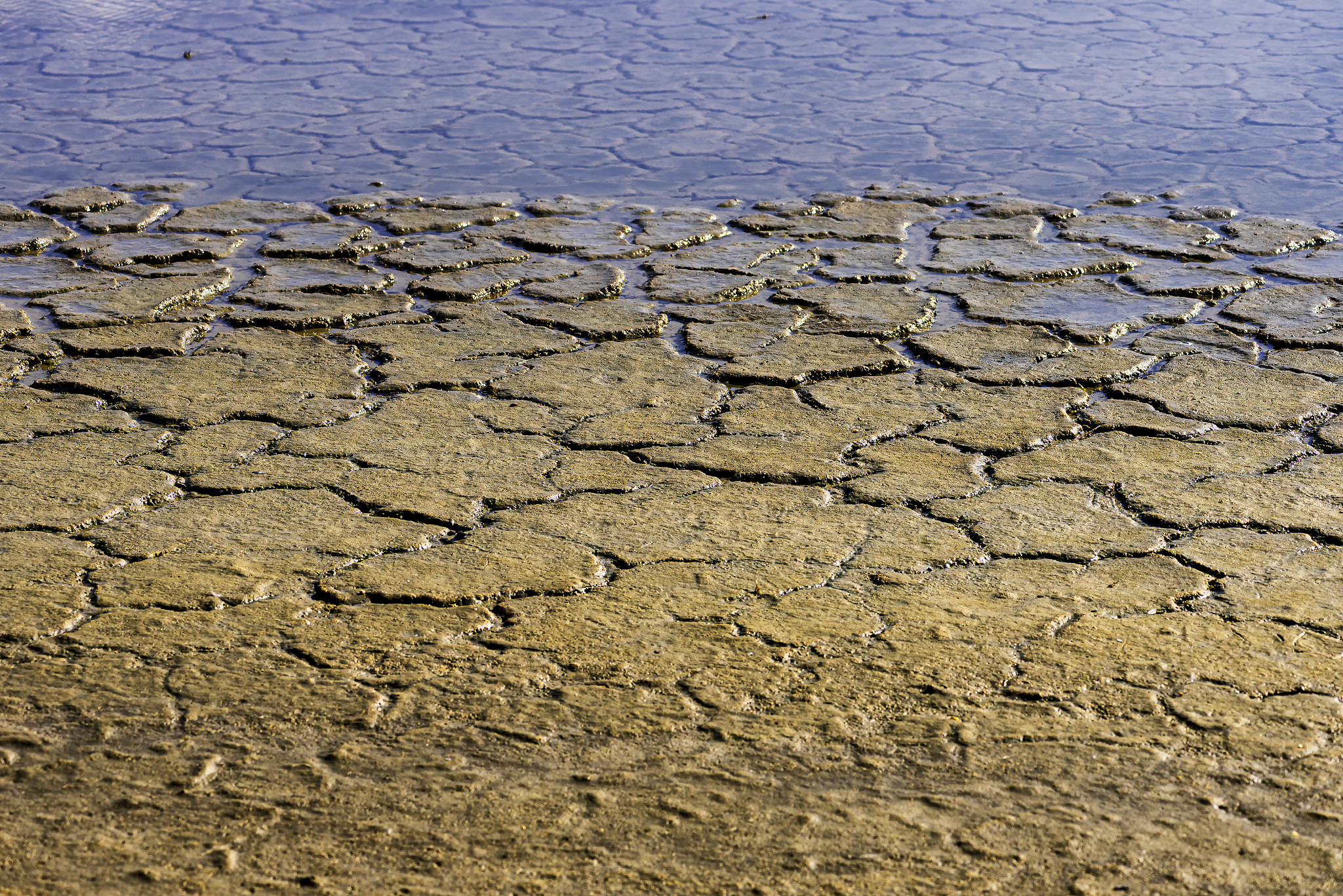 夏日雨后，遇见美好：一个关于天气和友谊的故事