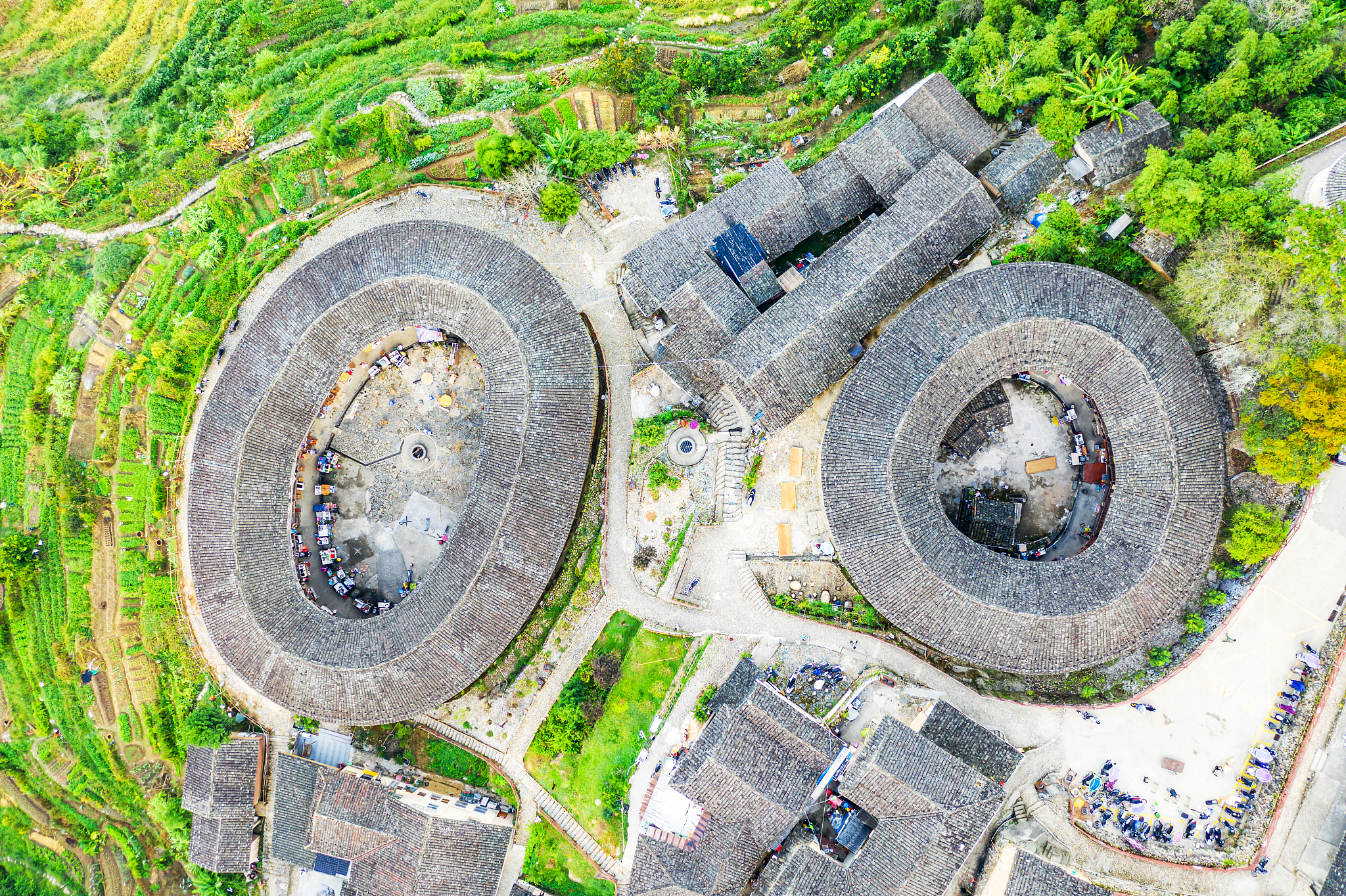 福建农业职业技术学院金融管理专业专业课程设置有哪些
