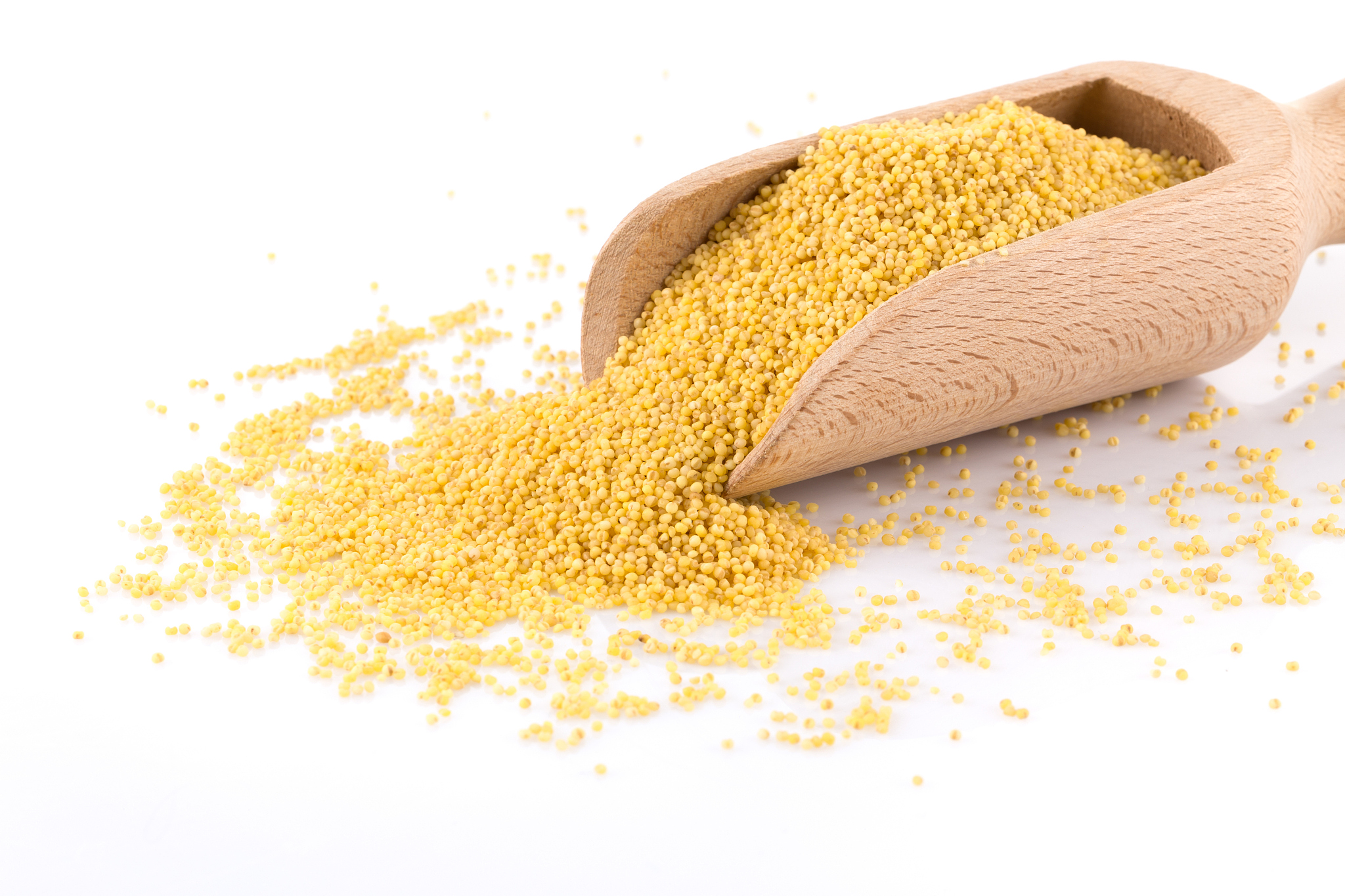 dry millet seeds