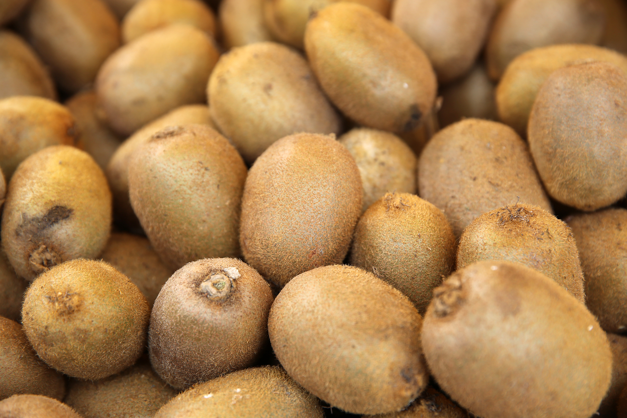 猕猴桃特色农产品营销策略研究综述