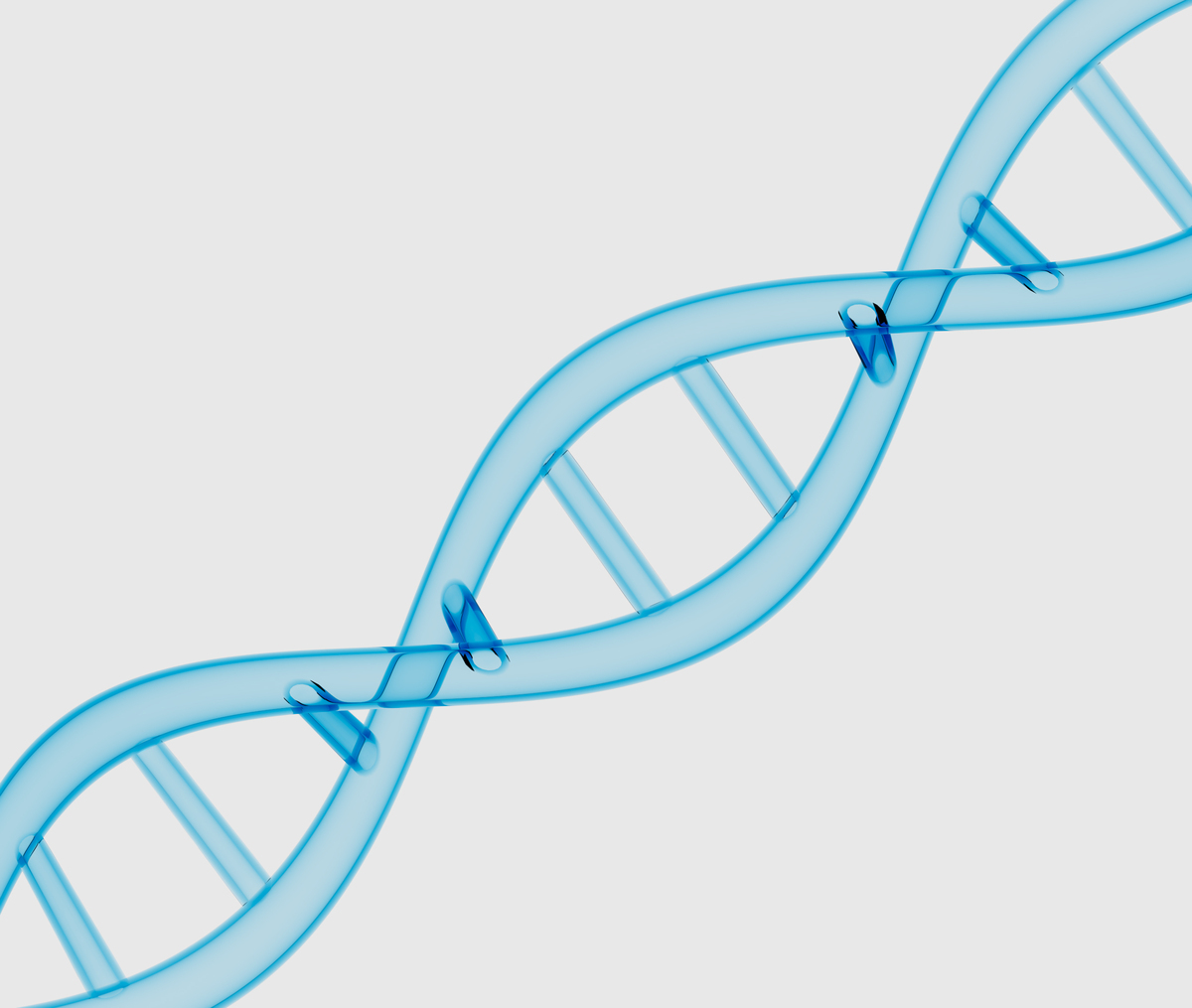 DNA 结构详解：从核苷酸到双螺旋