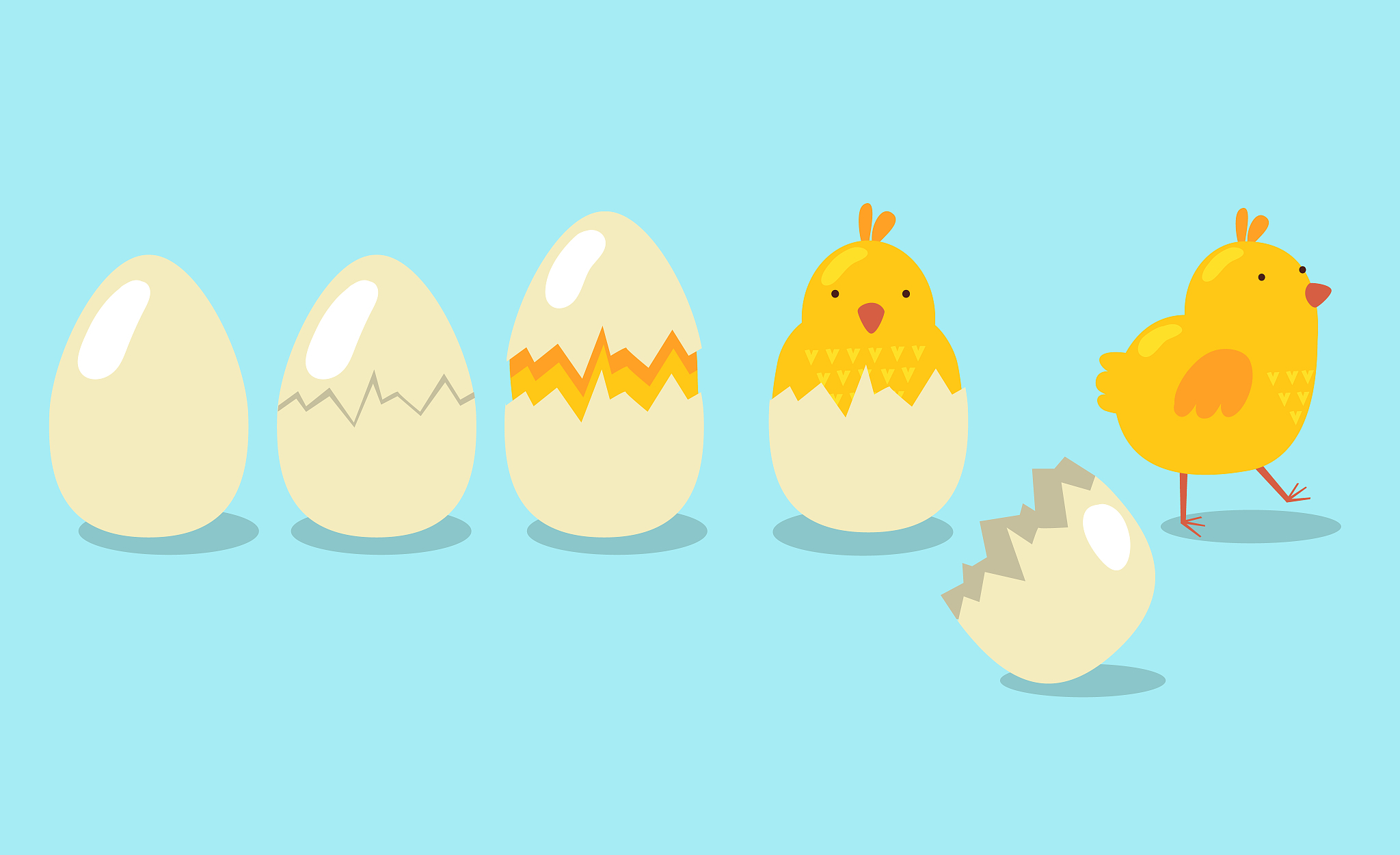 孵小鸡40度会烫死吗