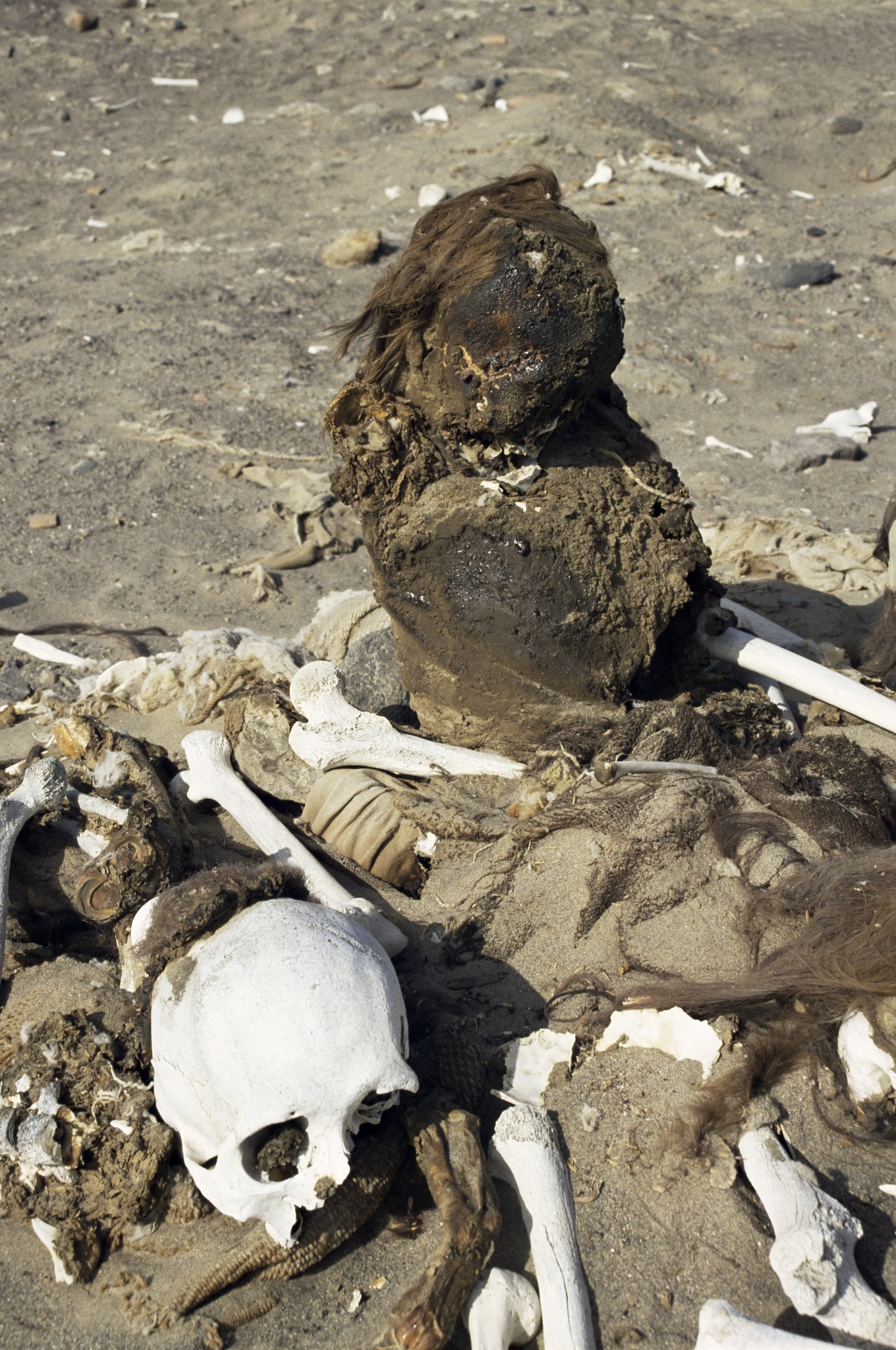 human remains preserved over 500 years, chauchilla cemetery, naz