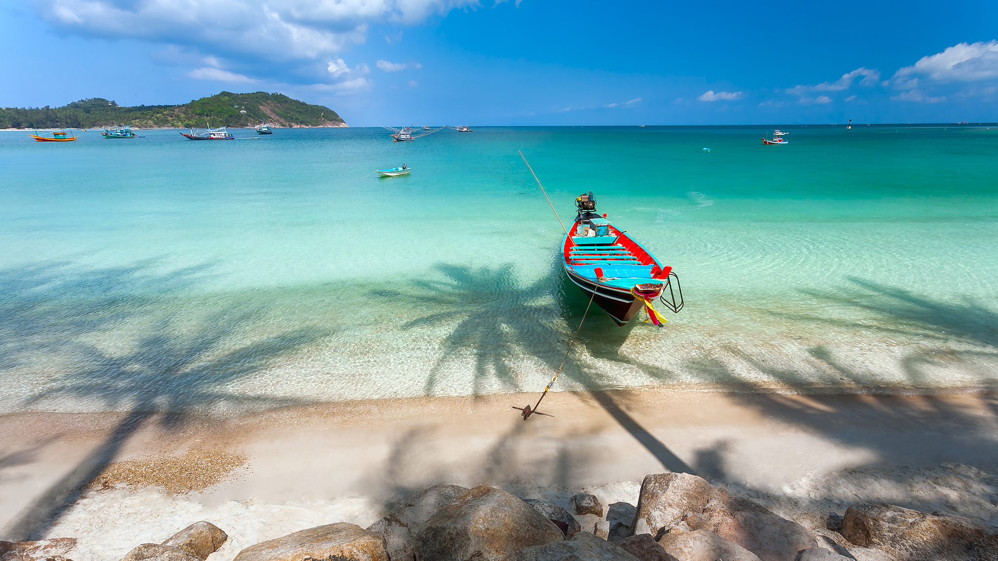 landscape of the sea coast. the color boat and a shadow from tre