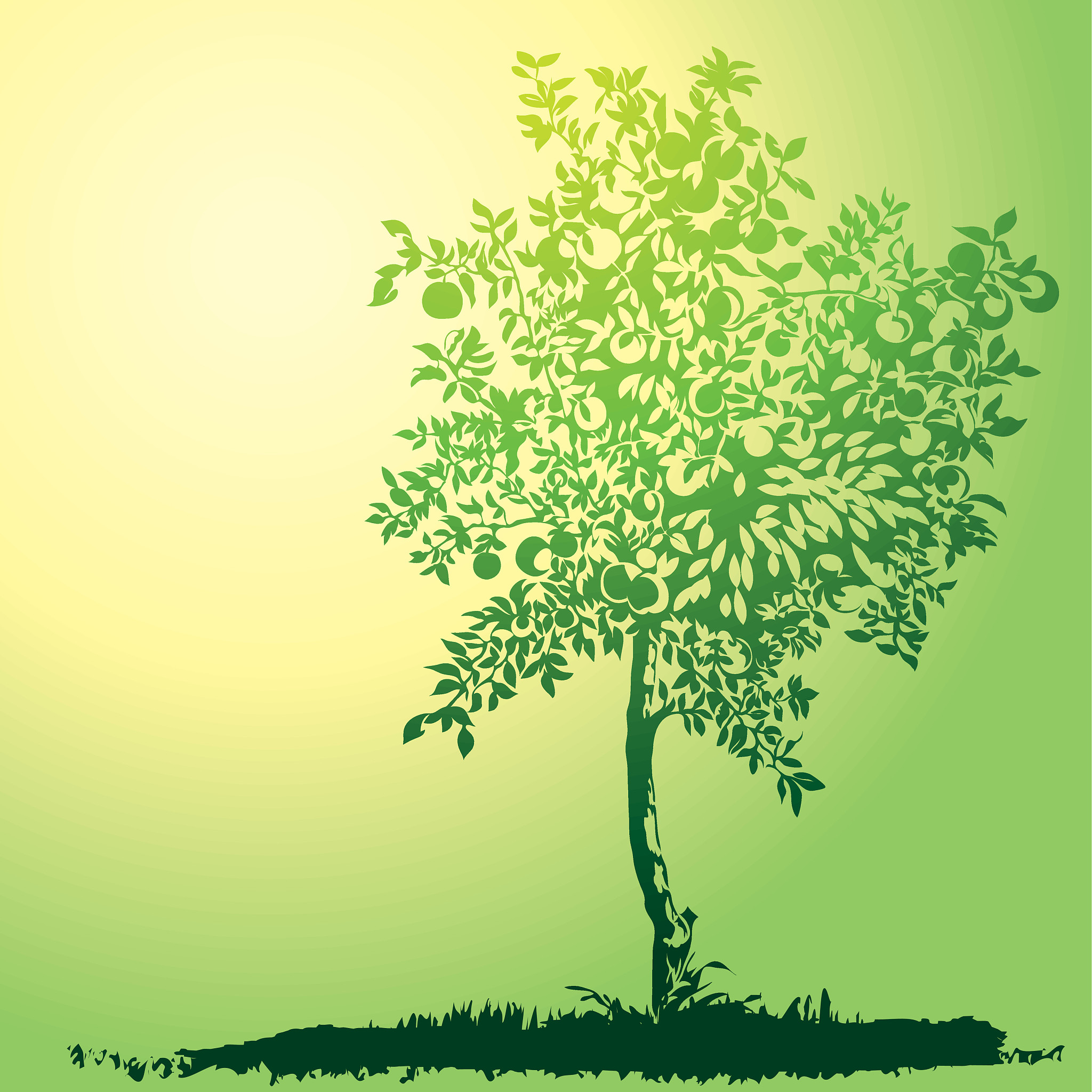apple tree